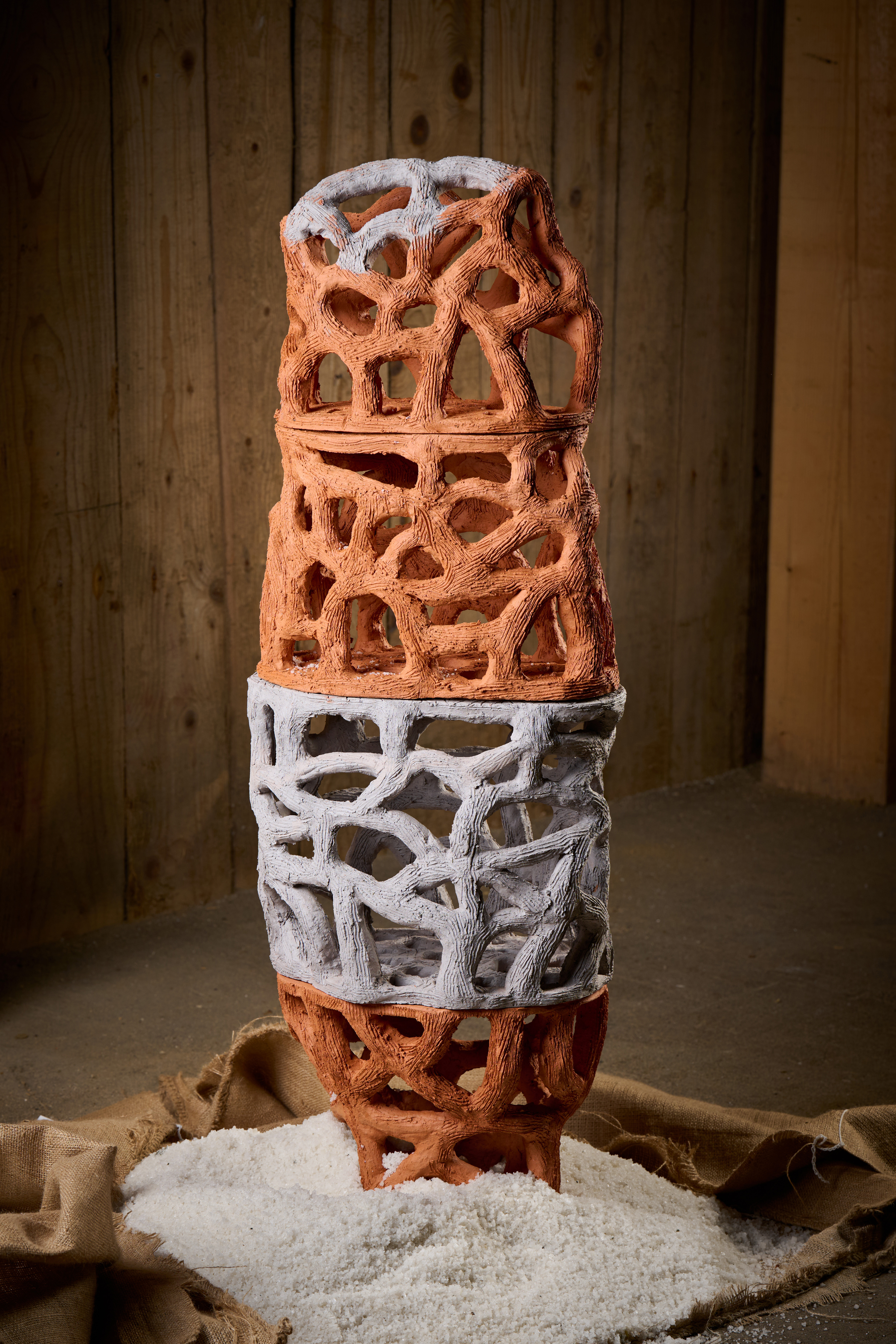 Avtor skulpture Društvo likovnikov Brežice (Foto: Tomo Jeseničnik)