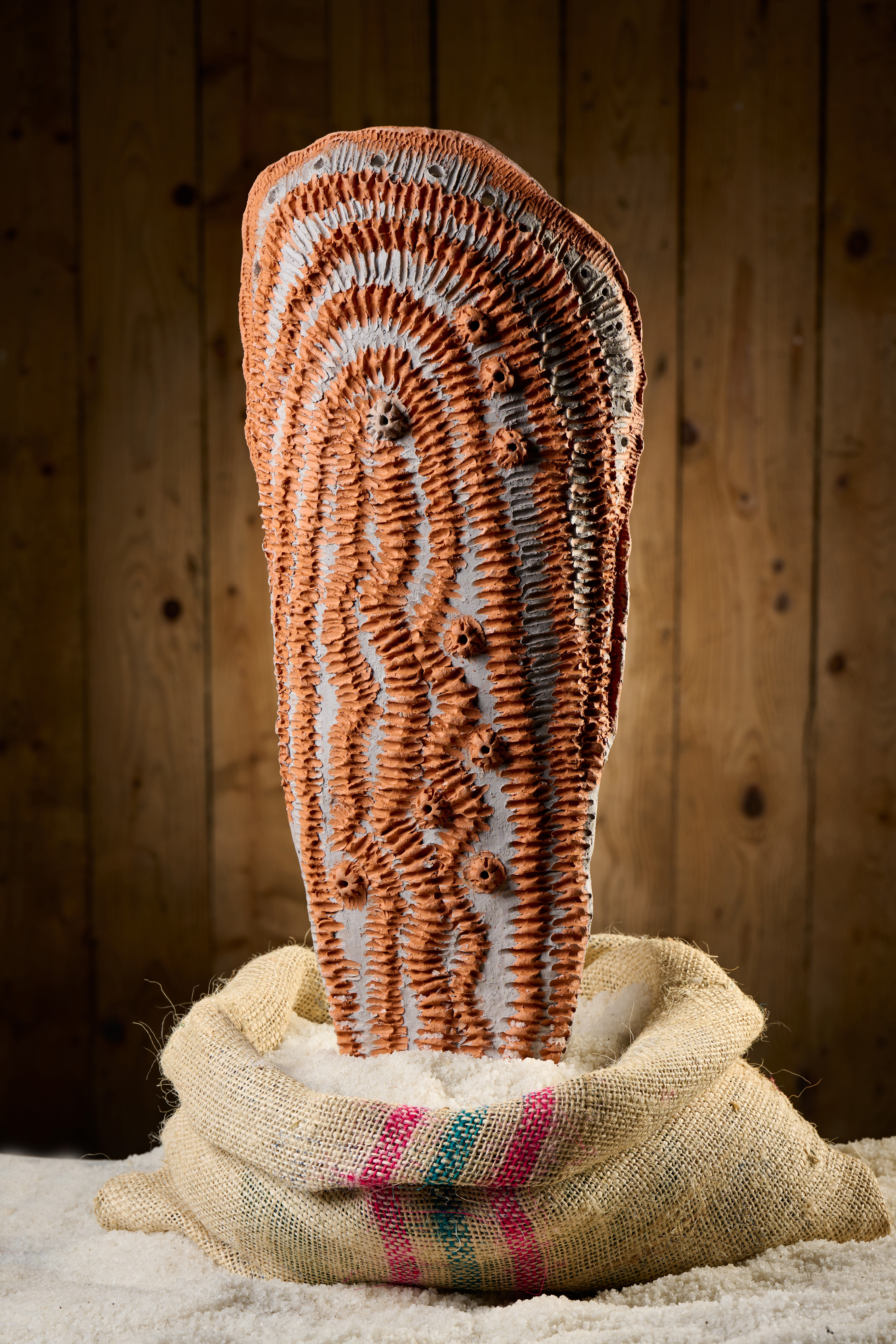 Avtor skulpture Društvo likovnikov Brežice (Foto: Tomo Jeseničnik)