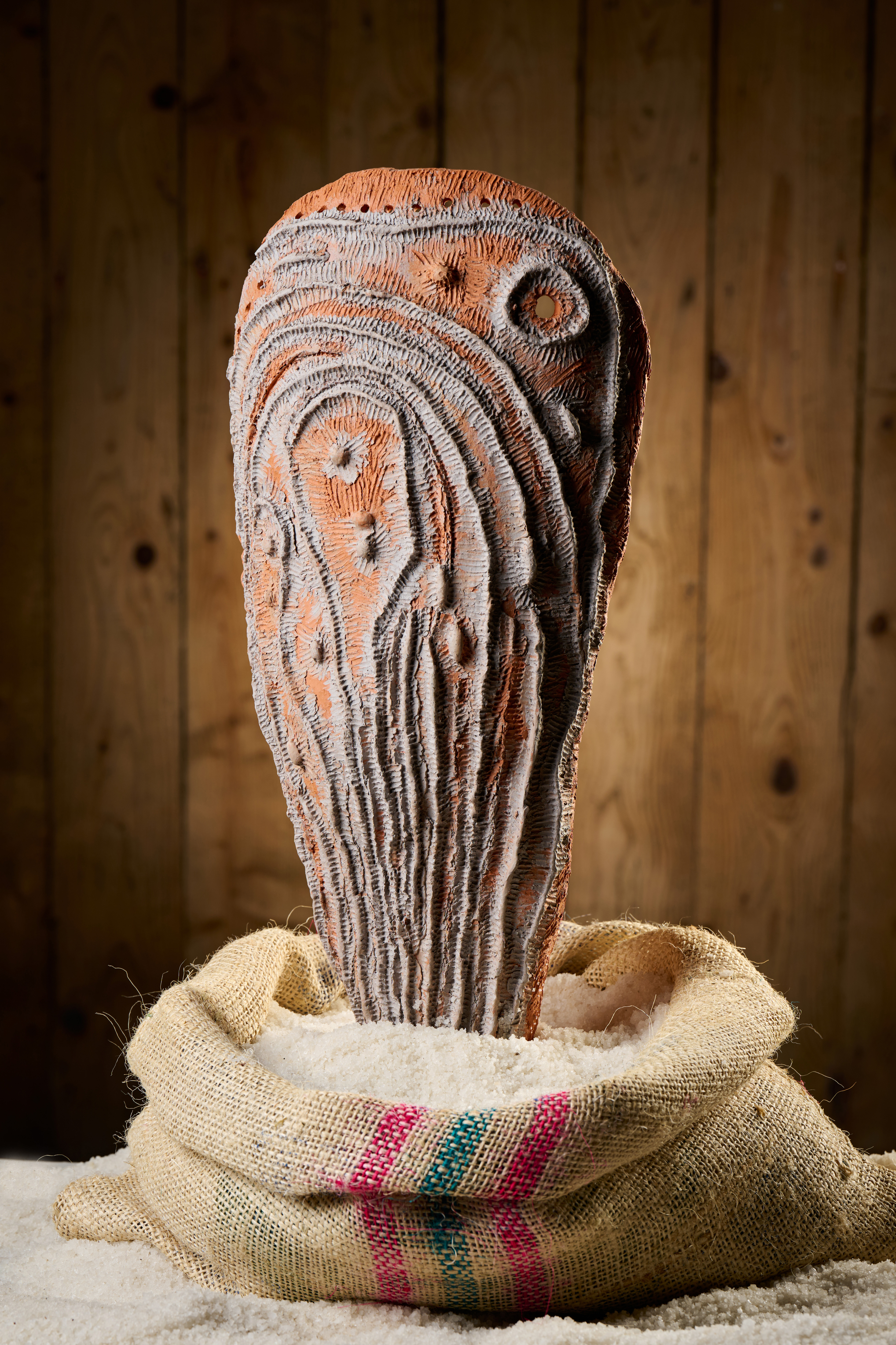 Avtor skulpture Društvo likovnikov Brežice (Foto: Tomo Jeseničnik)