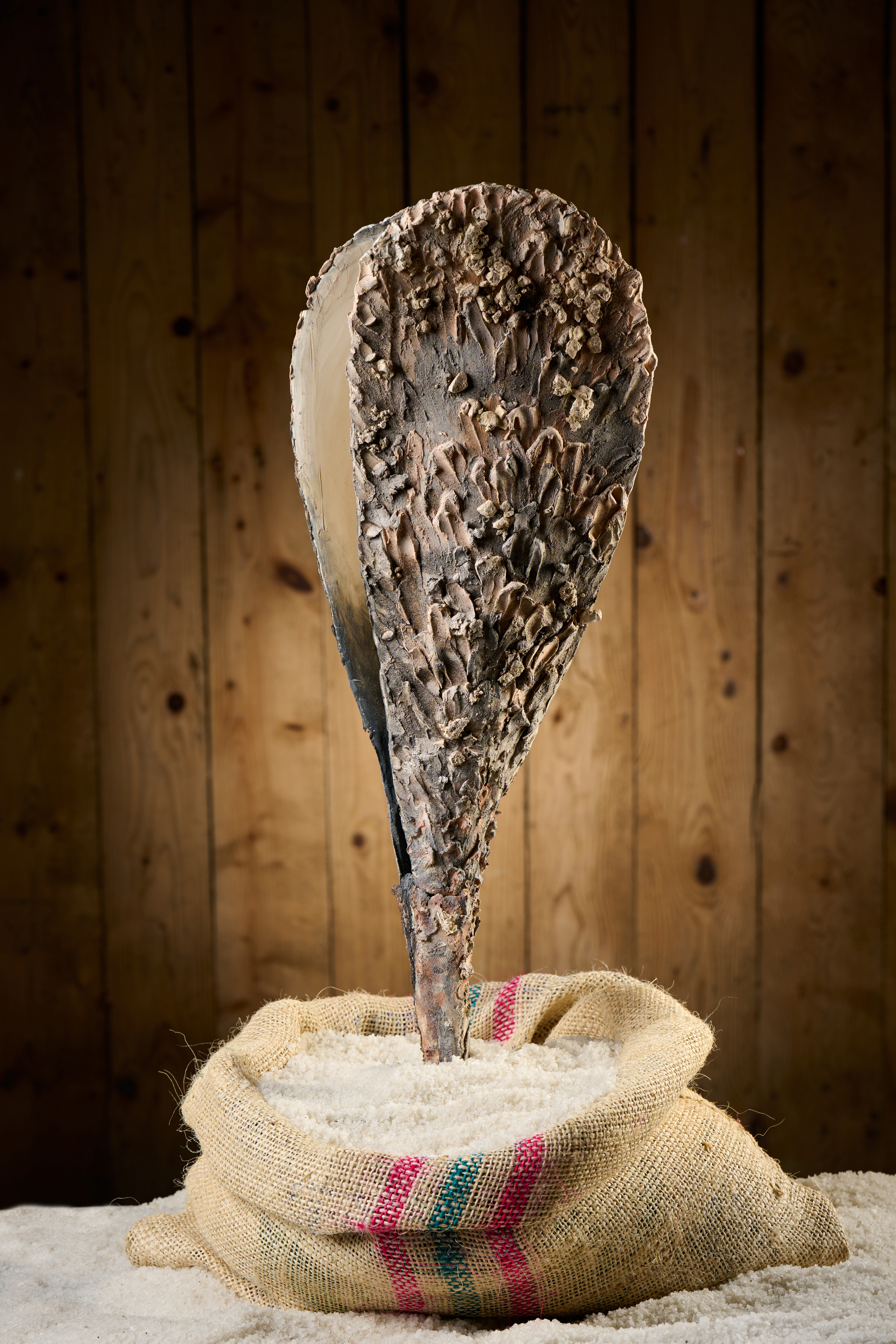 Avtorica skulpture Dragica Čadež (Foto: Tomo Jeseničnik)