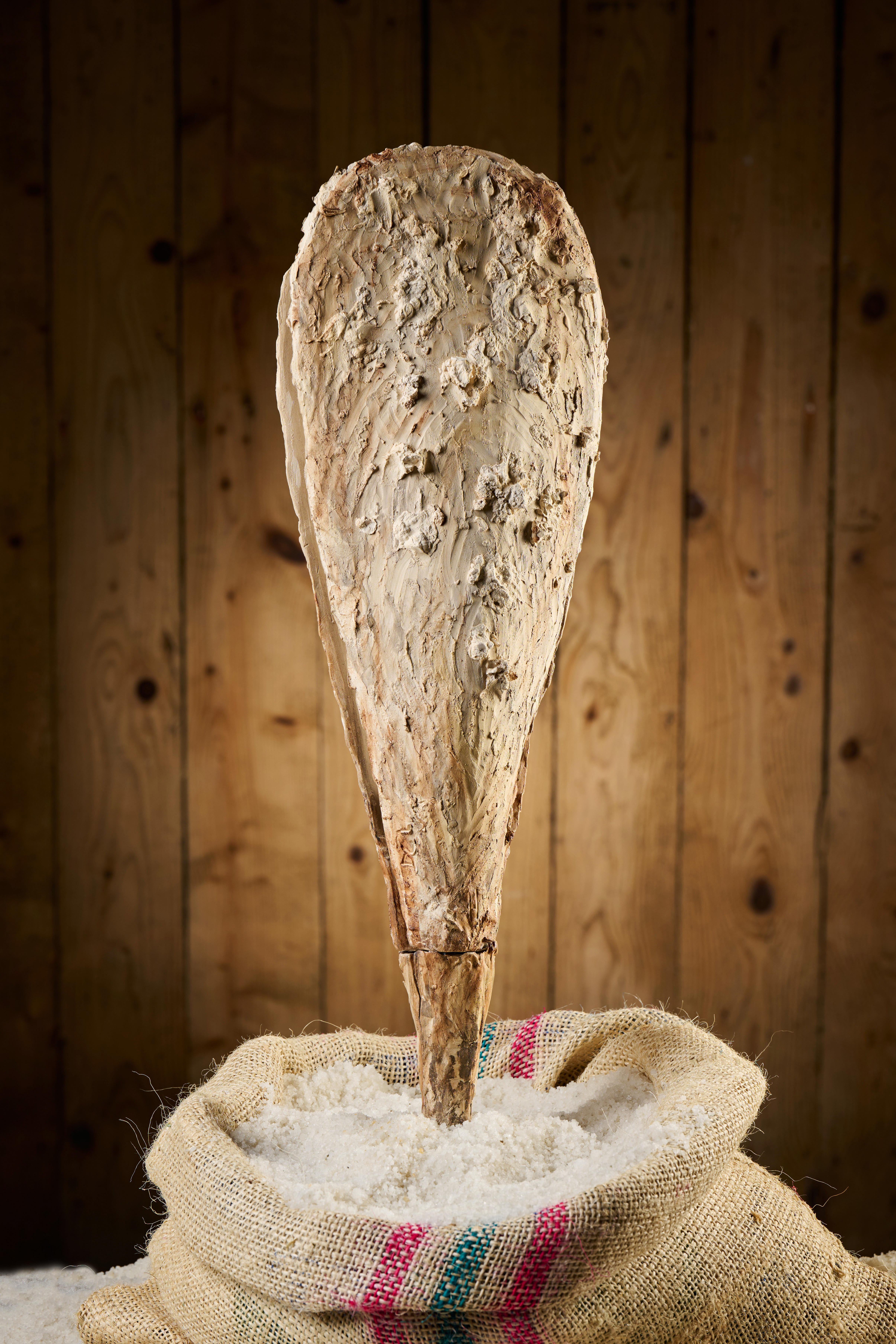 Avtorica skulpture Dragica Čadež (Foto: Tomo Jeseničnik)