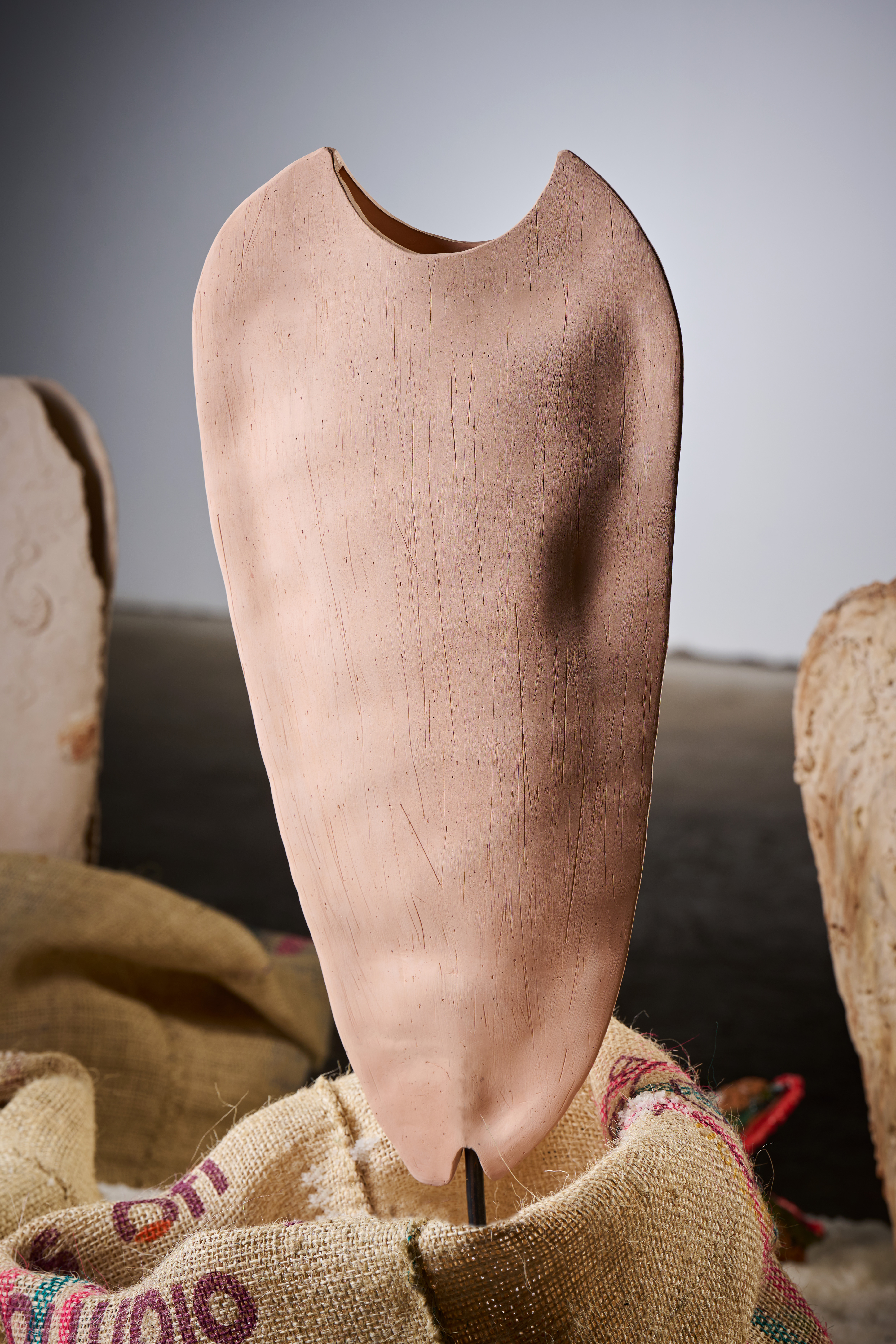 Avtor skulpture Borut Cafuta (Foto: Tomo Jeseničnik