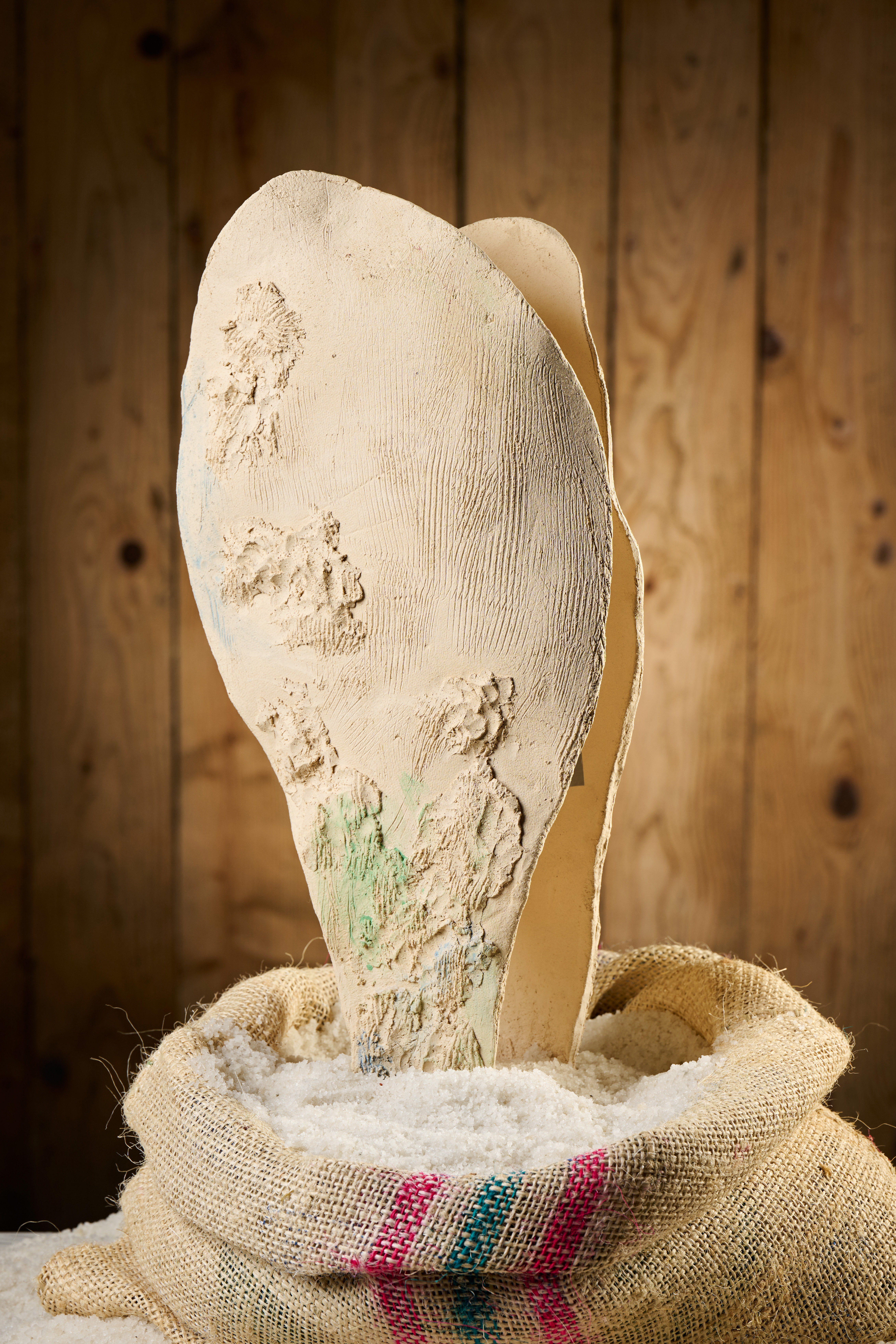 Avtorica skulpture  Simona Breskvar Tiller (Foto: Tomo Jeseničnik)