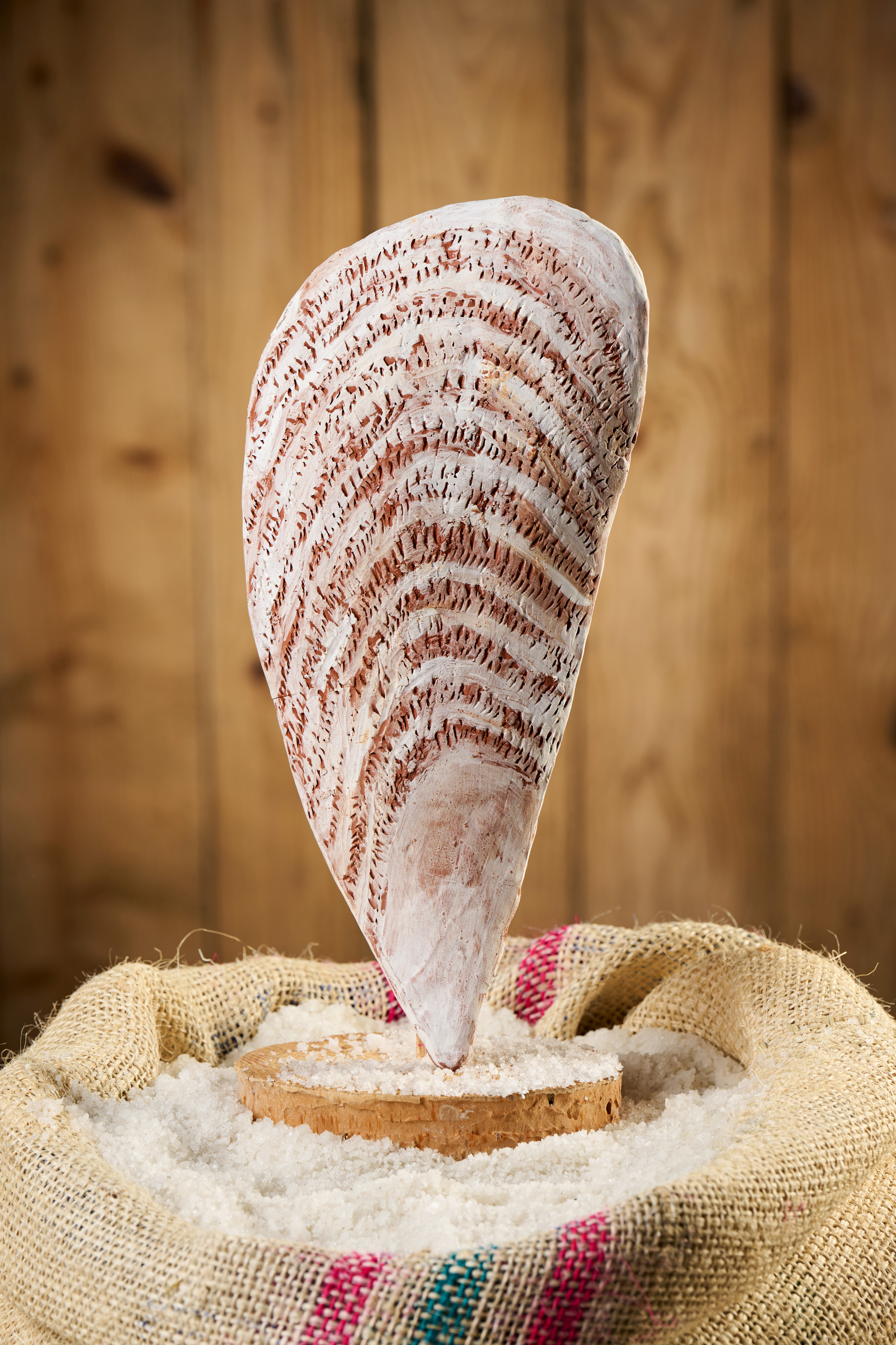 Avtorica skulpture Nivea Kofol (Foto: Tomo Jeseničnik)