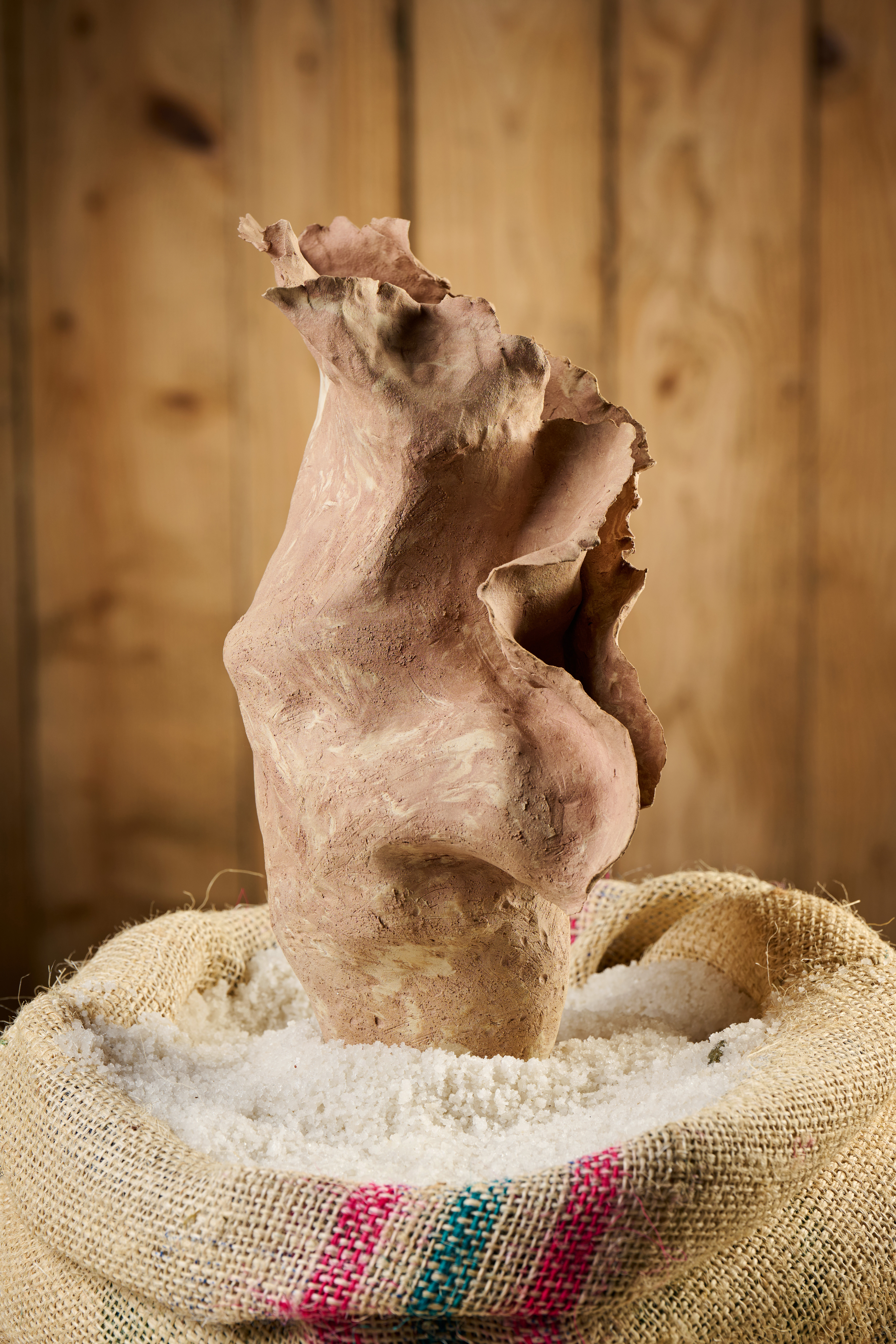 Gabrijelčič Tanja 1.1