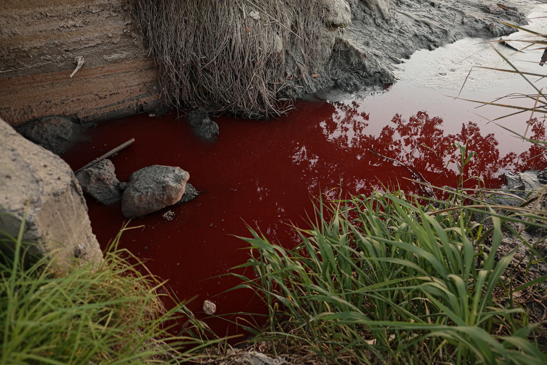 Argentina, reka, Buenos Aires