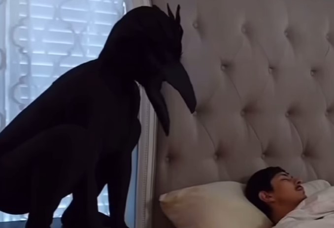 ptič, šala, prank, Instagram