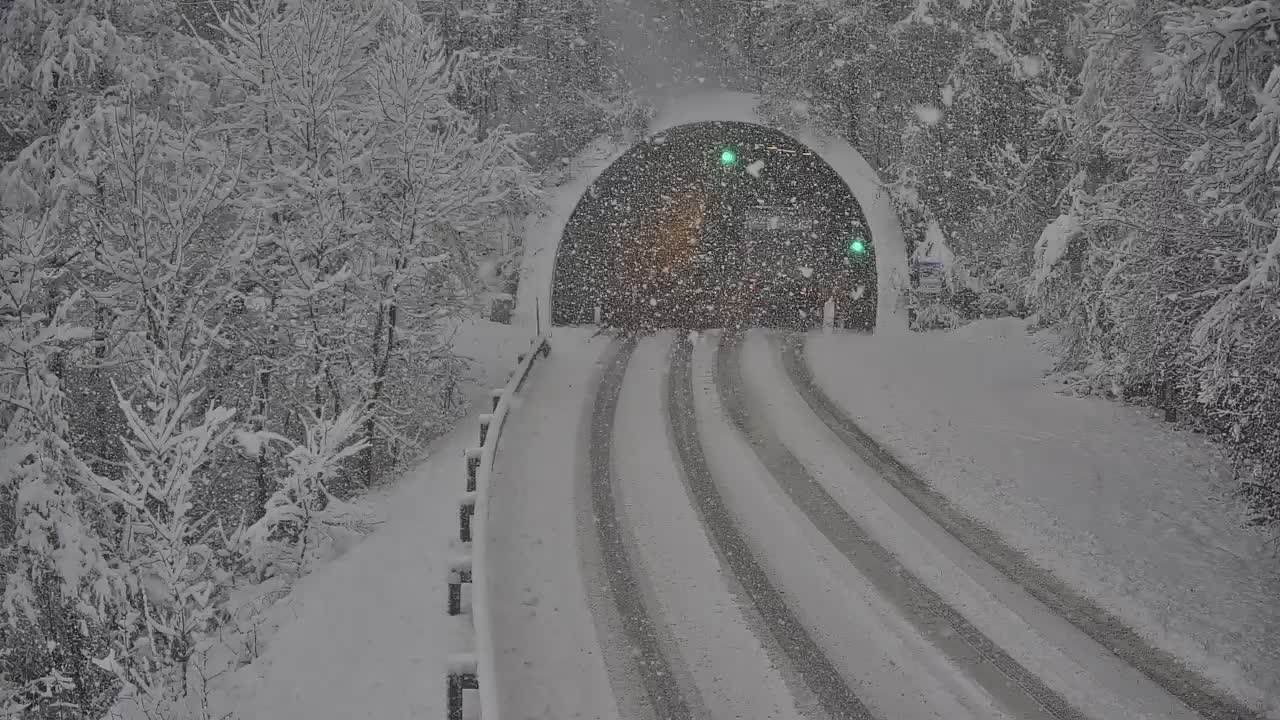 trojane, izlake, s neg