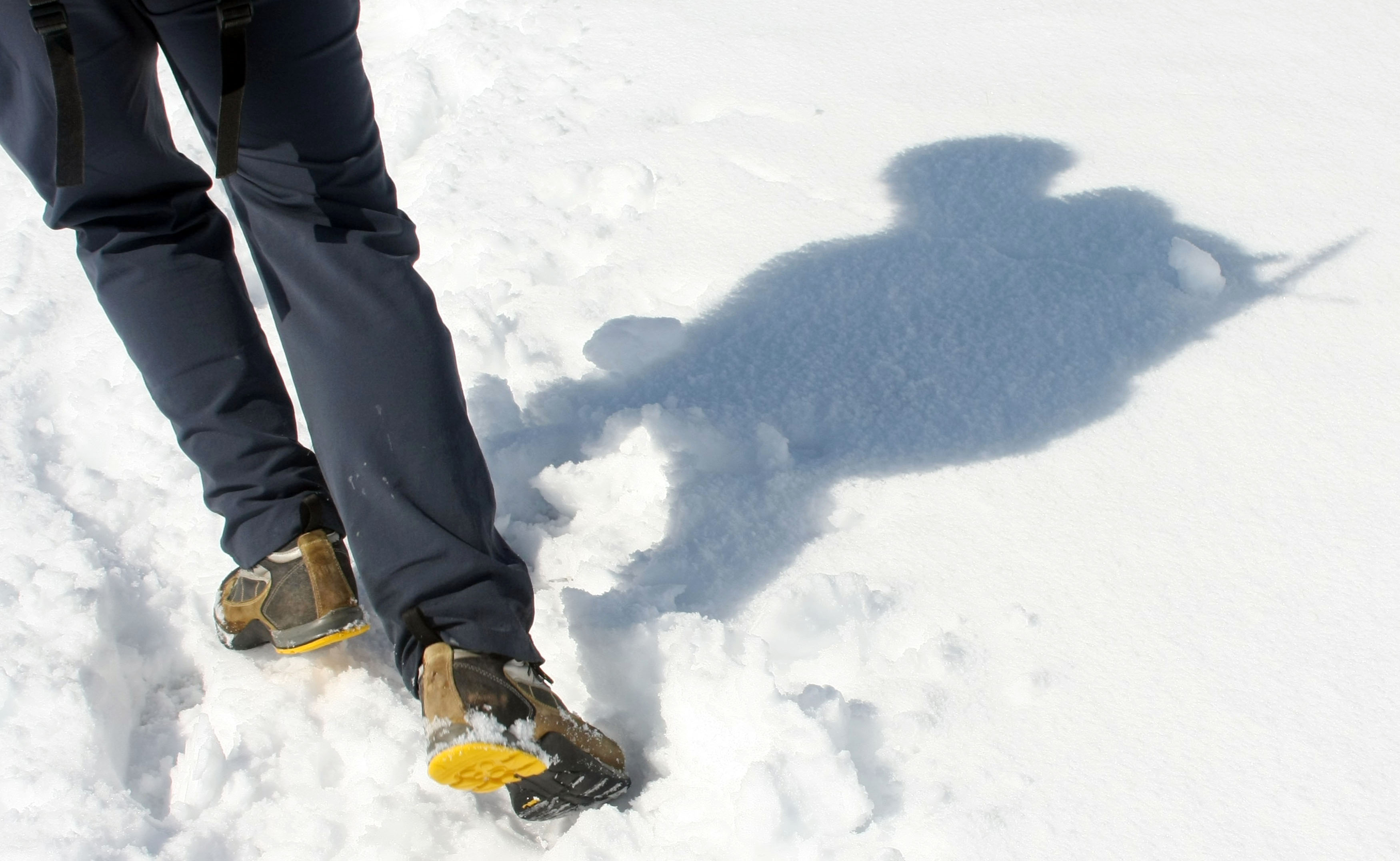 kamniške alpe, velika planina, sneg