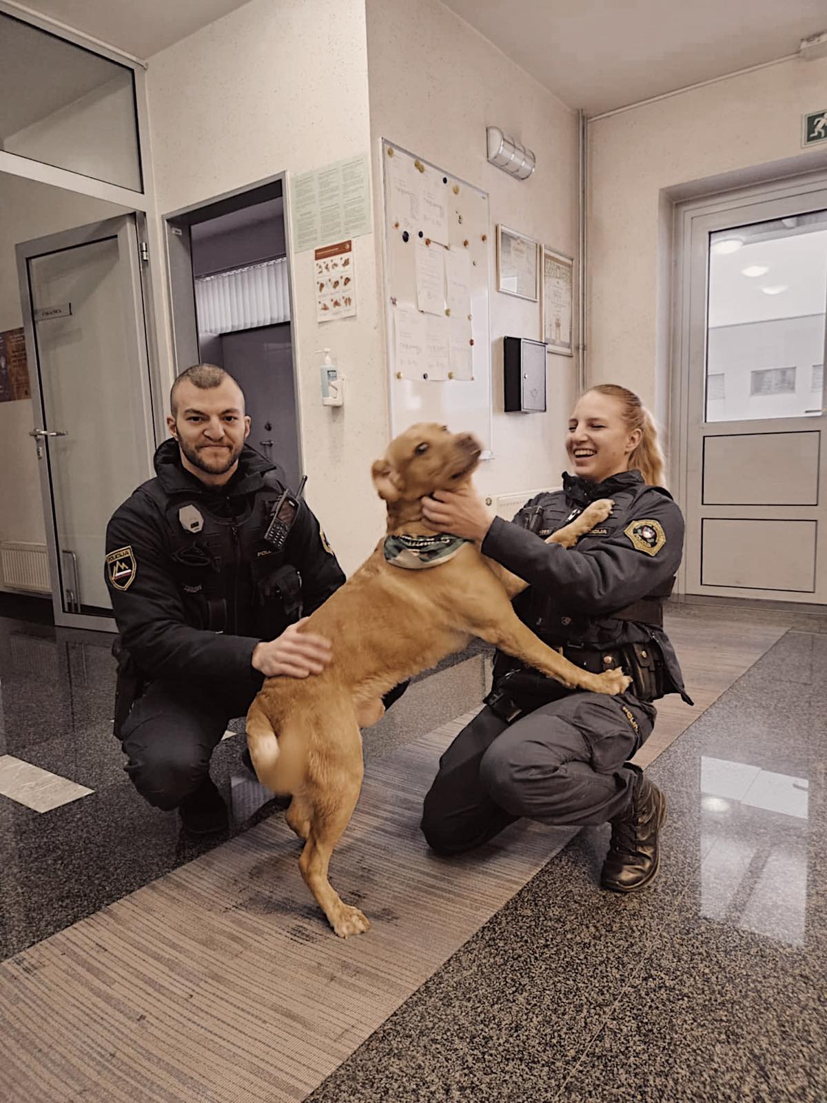 izgubljen pes, eros, pu kranj