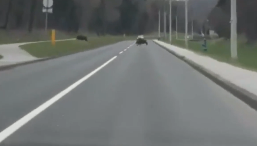 Foto: Zajem zaslona/Dnevnik.hr