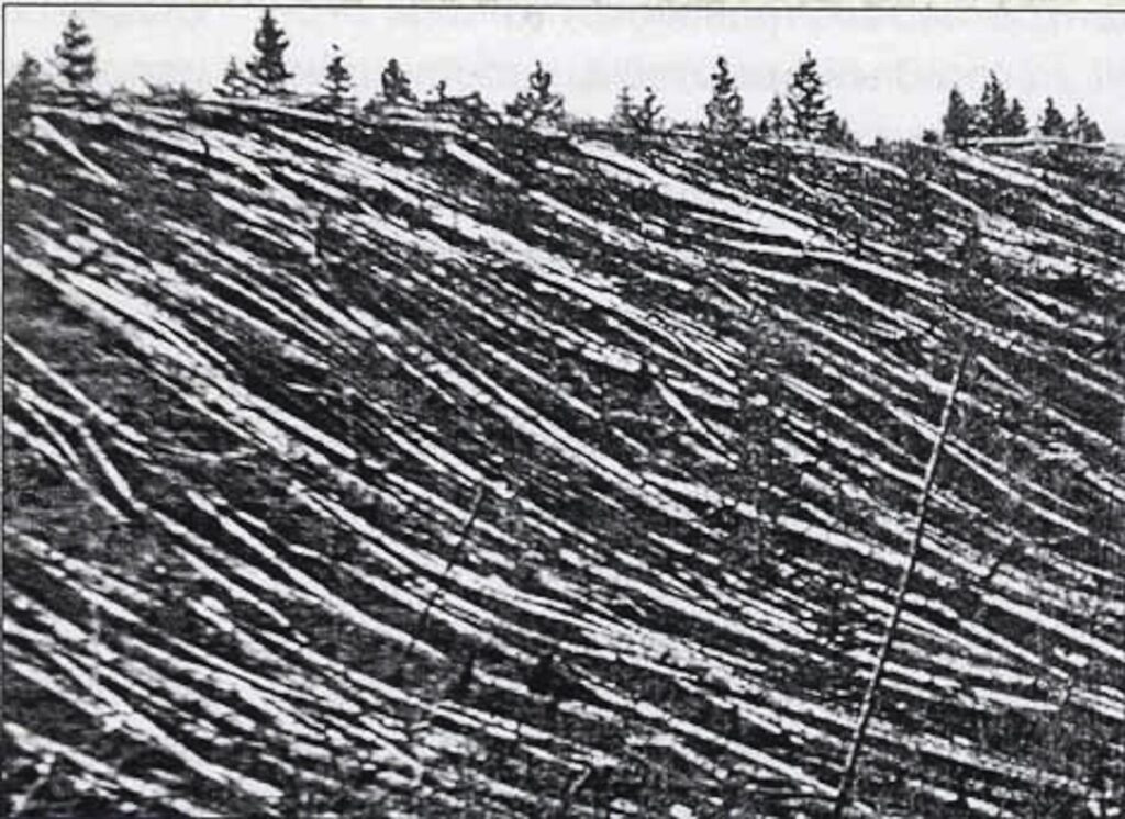 1739785613-Tunguska-1908-1024x746.jpg