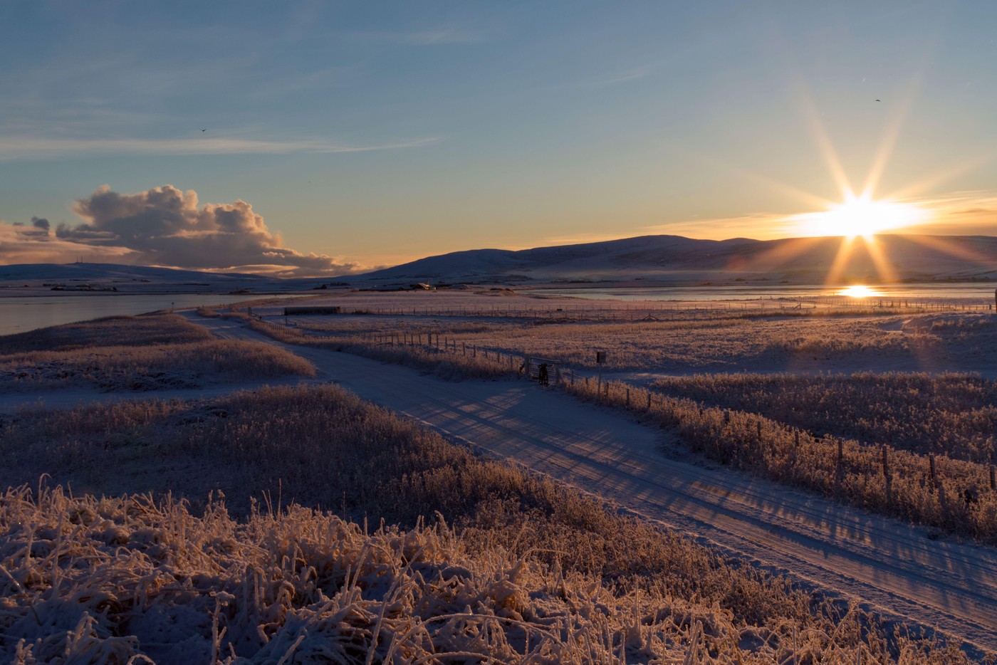 slana, mraz, zima, jutro