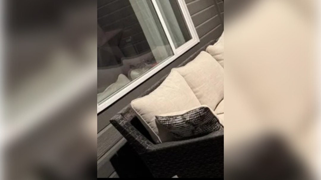 high-res-image - 2025-02-19T121457.749