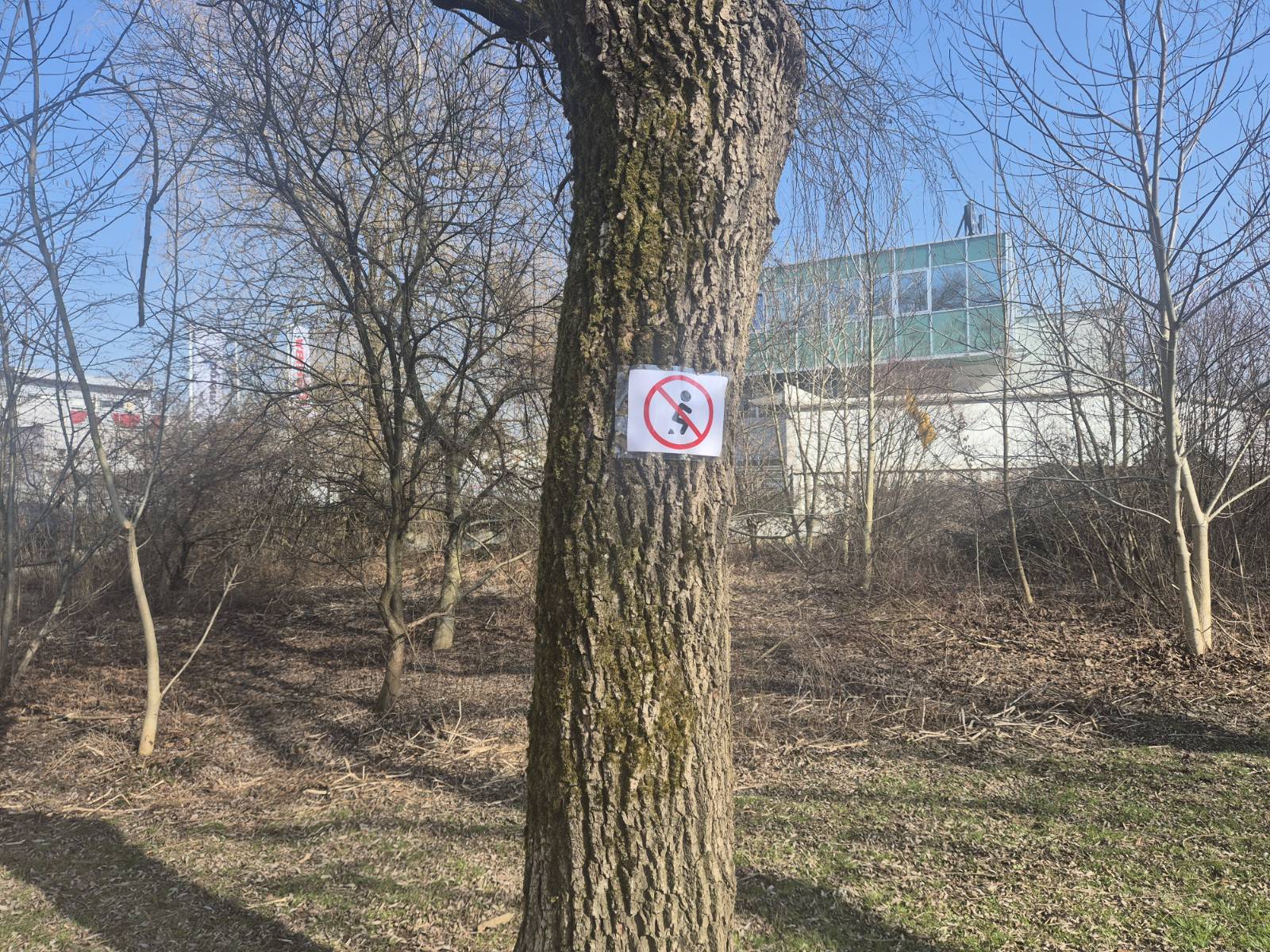 znak, drevo, PST, Ljubljana