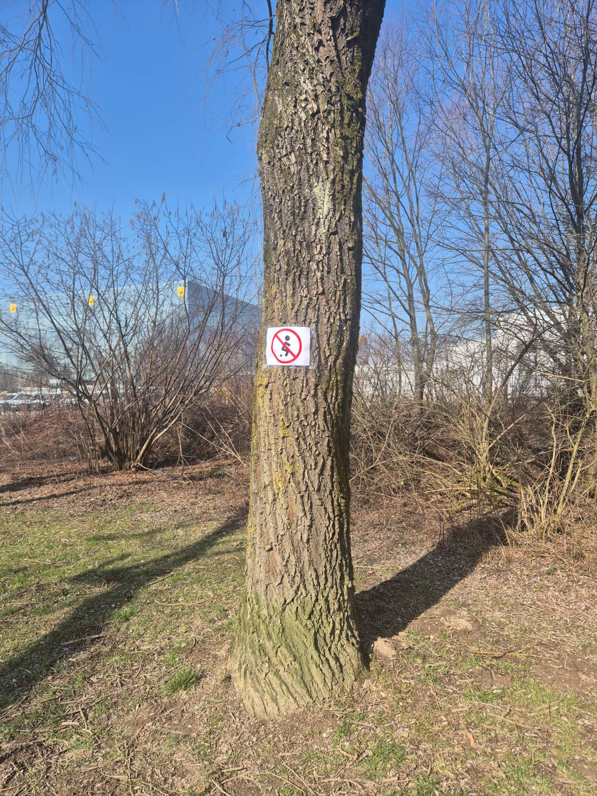 znak, drevo, PST, Ljubljana