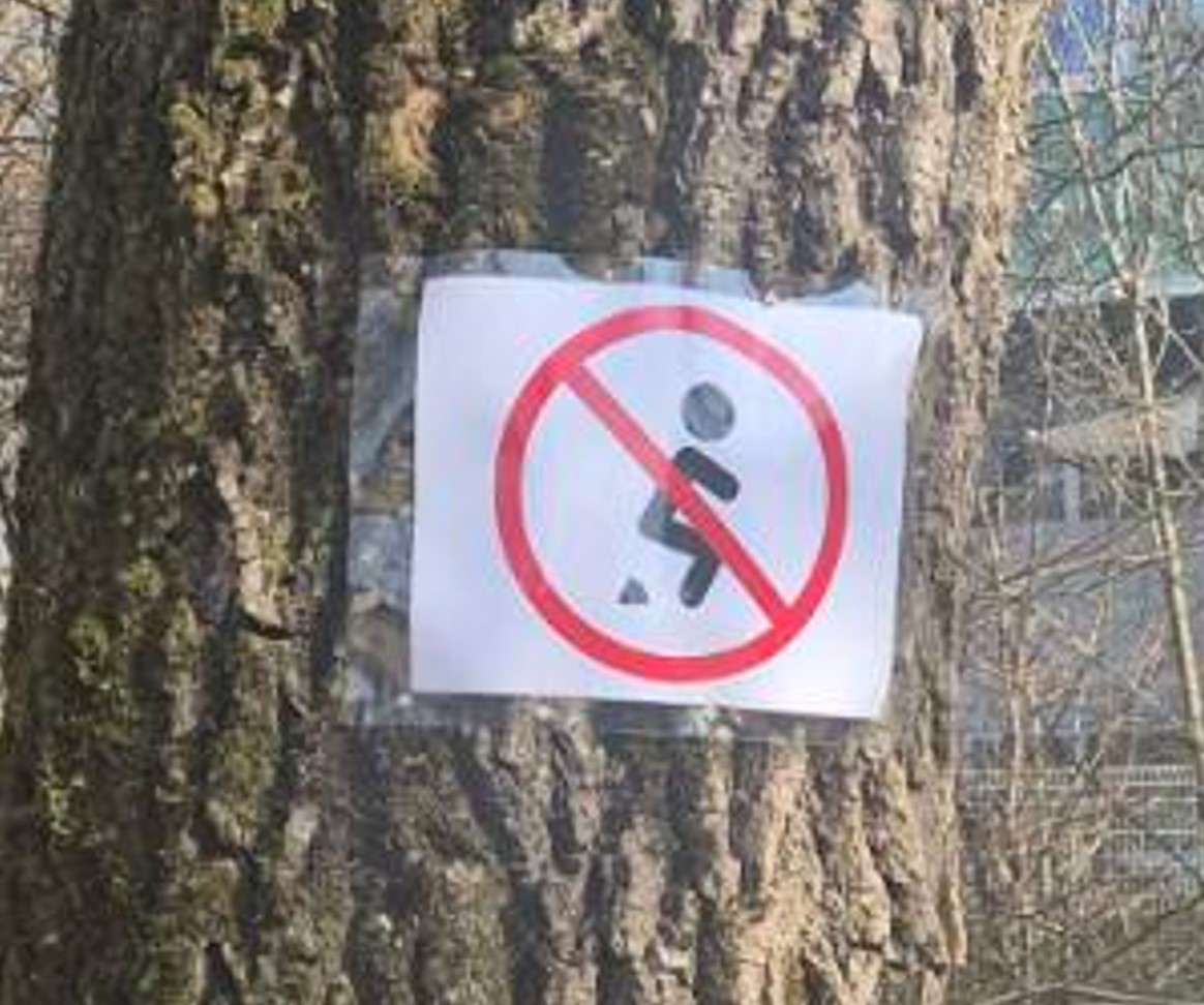 znak, drevo, PST, Ljubljana