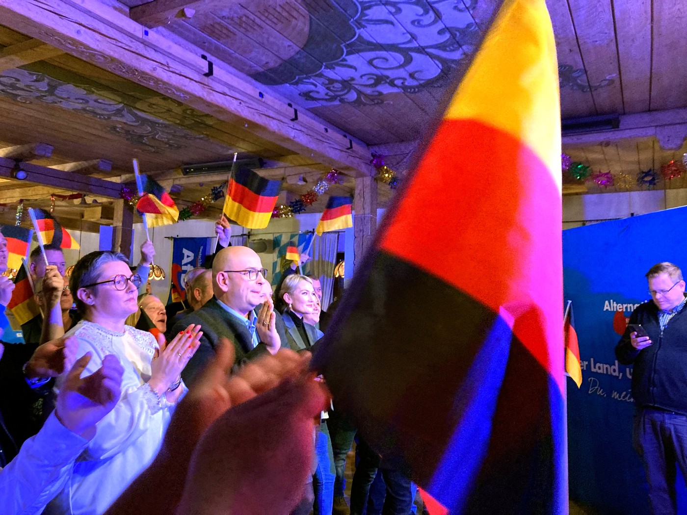 volitve, nemčija, afd