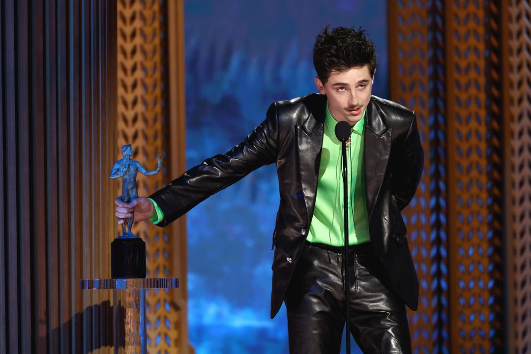 SAGA, Timothee Chalamet, podelitev nagrad