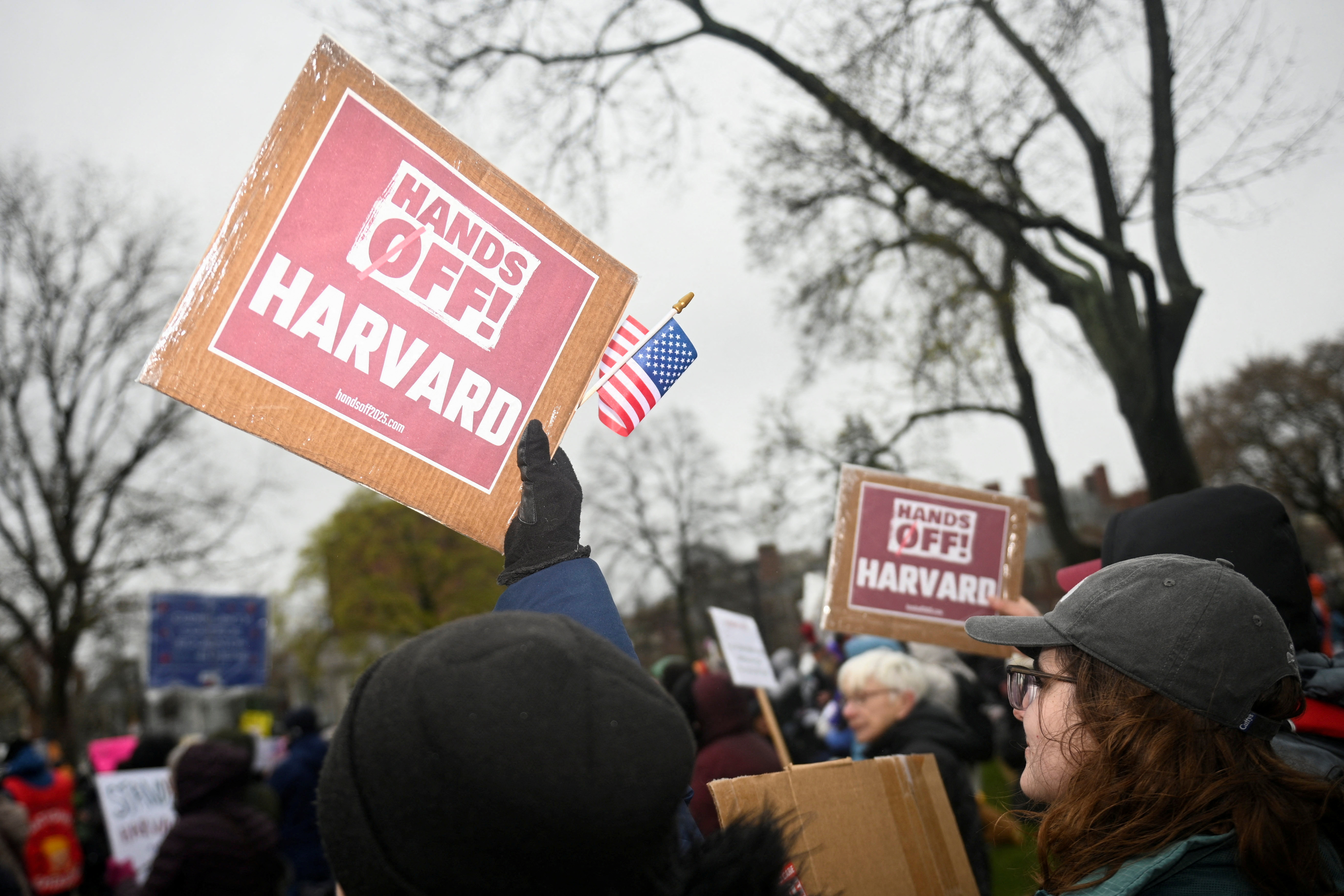Harvard, protest, ZDA