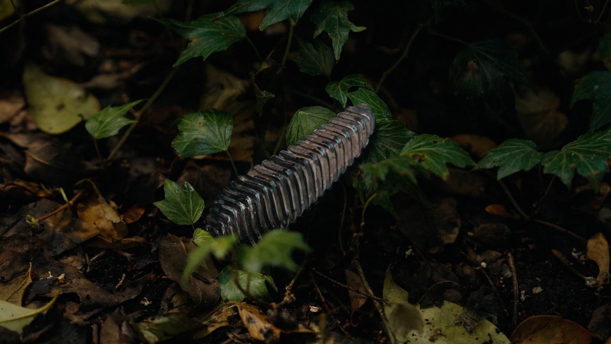 storžasta naprava za preprečevanje požarov