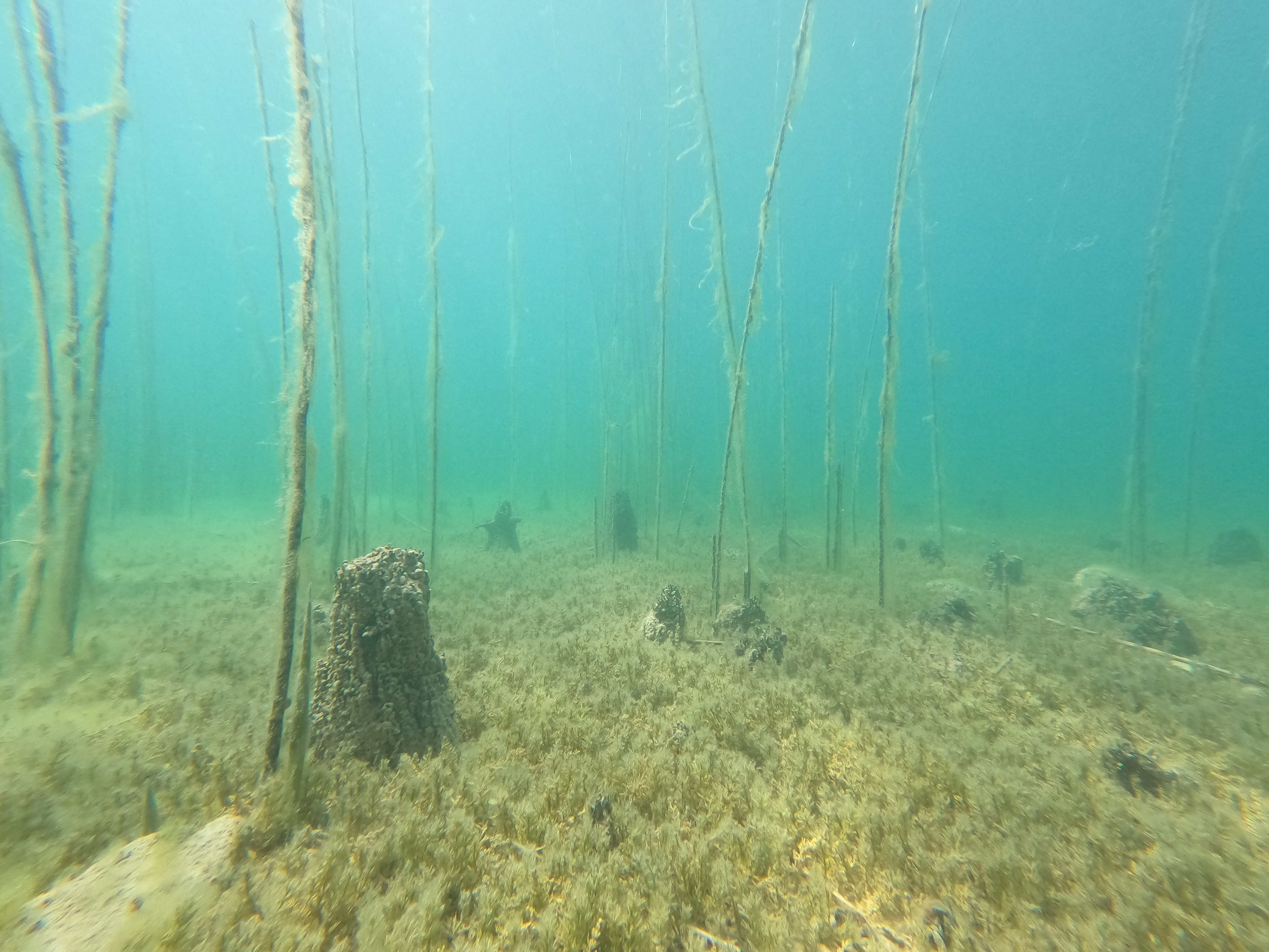Na dnu Ohridskega jezera odkrili ostanke 8000 let stare skupnosti