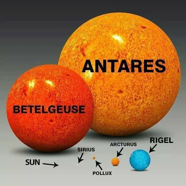 primerjava velikosti zvezd s Soncem Foto FACEBOOK From Quarks to Quasars