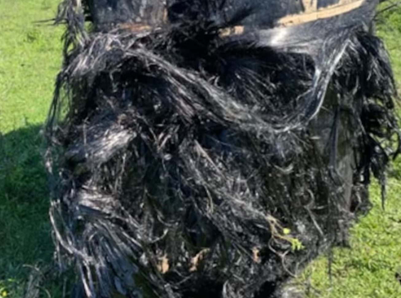 kosmat predmet z neba Argentina Foto Zajem zaslona WHATSTHEJAM COM