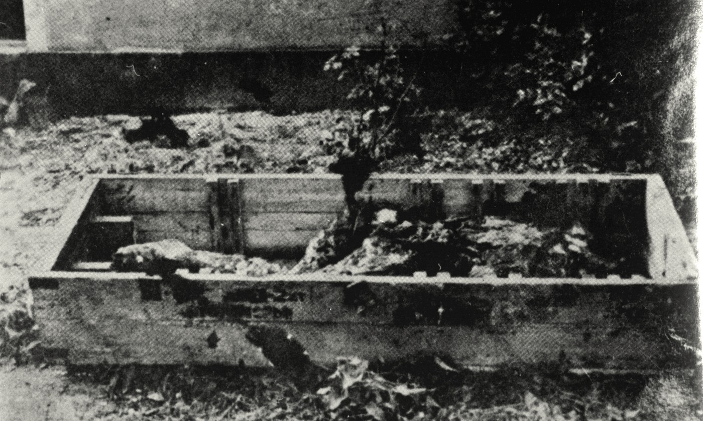 krsta z zoglenelimi ostanki Hitlerjevega trupla