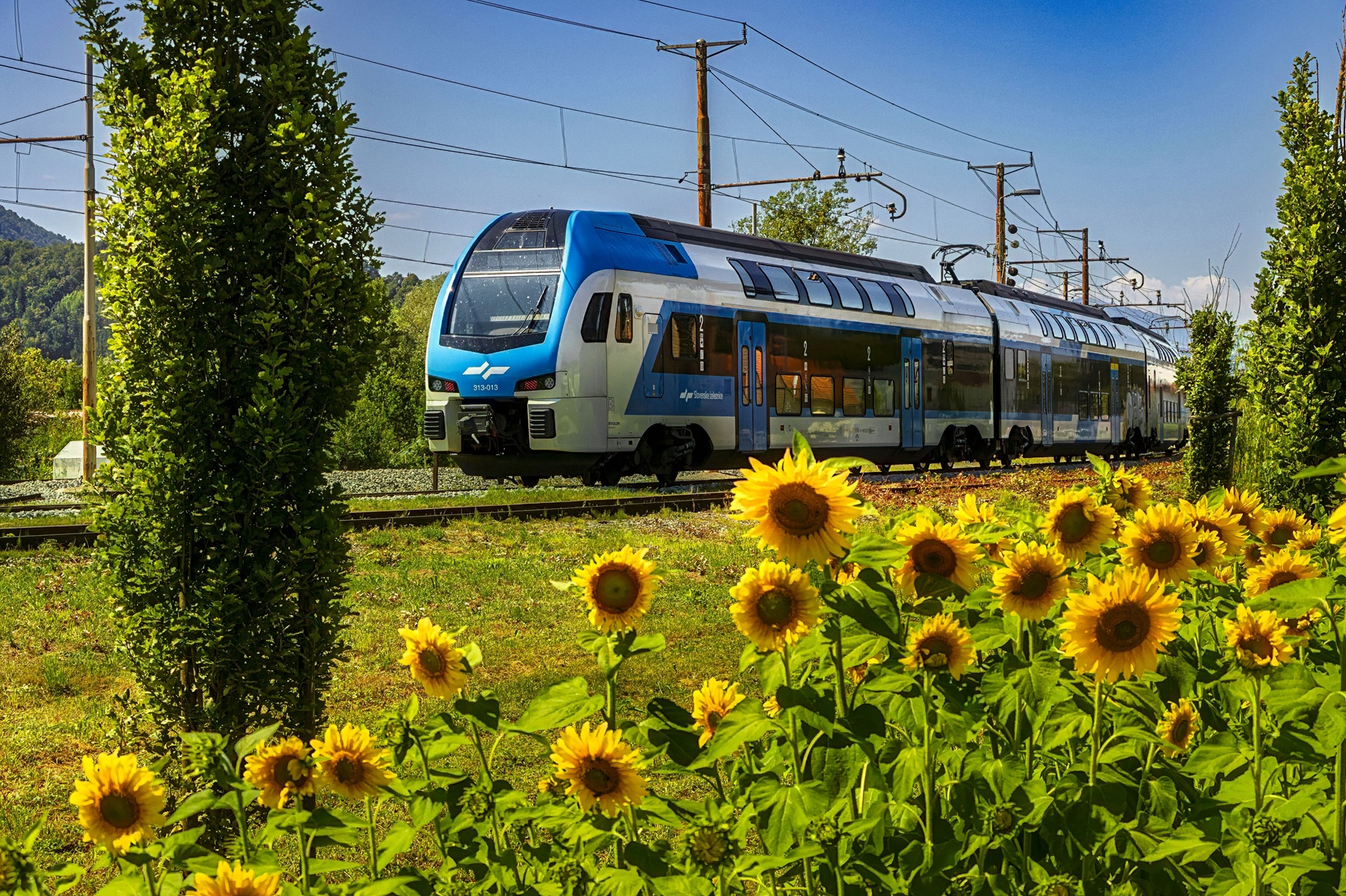 Municipality of Medvode by MK