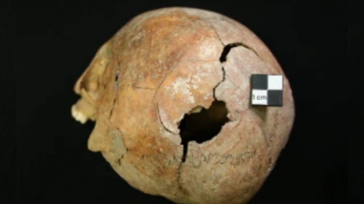 lobanja iz množičnega grobišča v Srbiji starega okoli 2.800 let, najdišče Gomolava