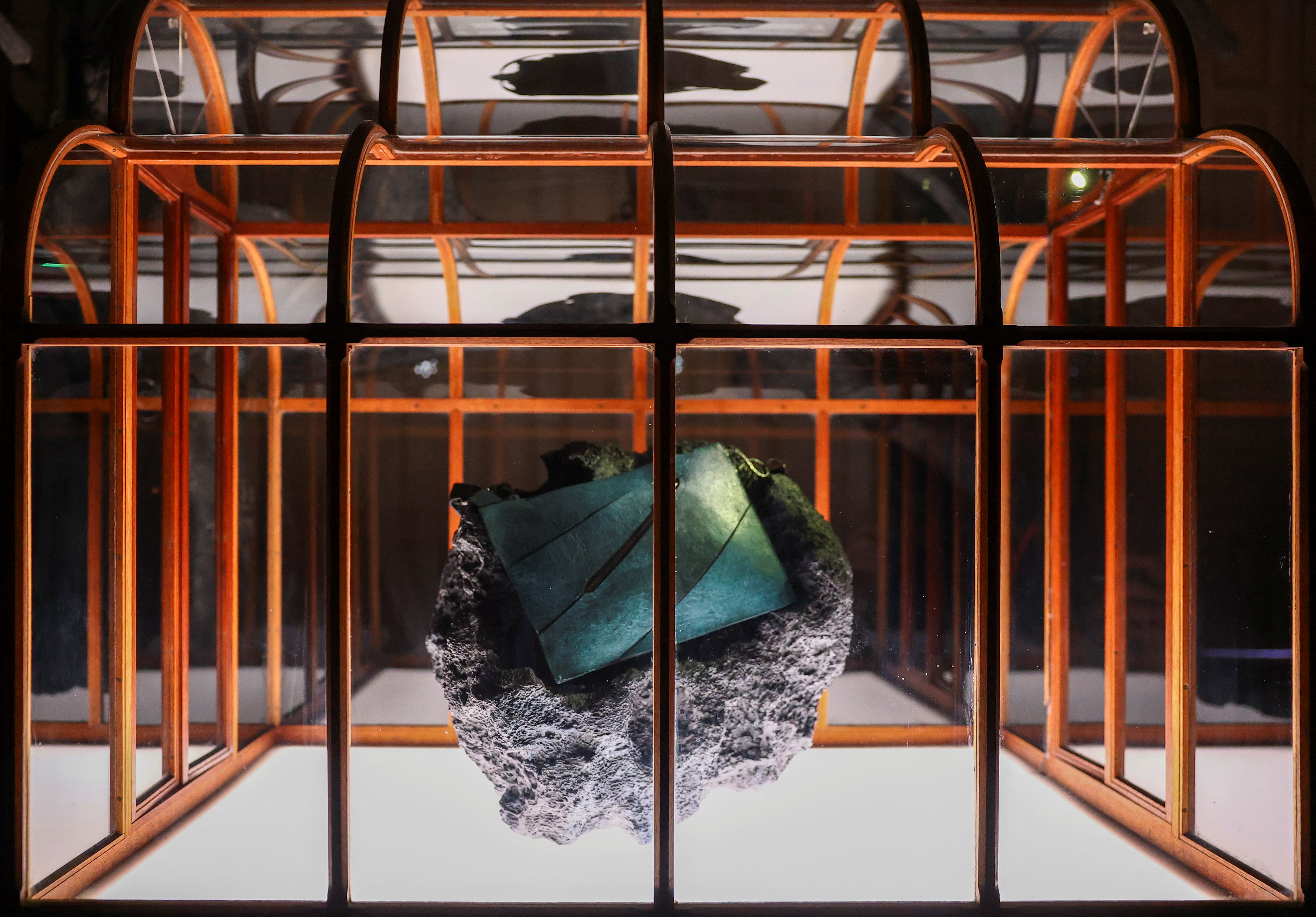 Torbica iz kolagena tiranozavra