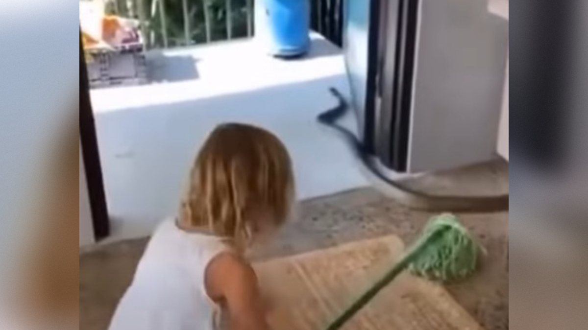 deklica iz Avstralije iz hiše preganja kačo, posnetek na Facebooku