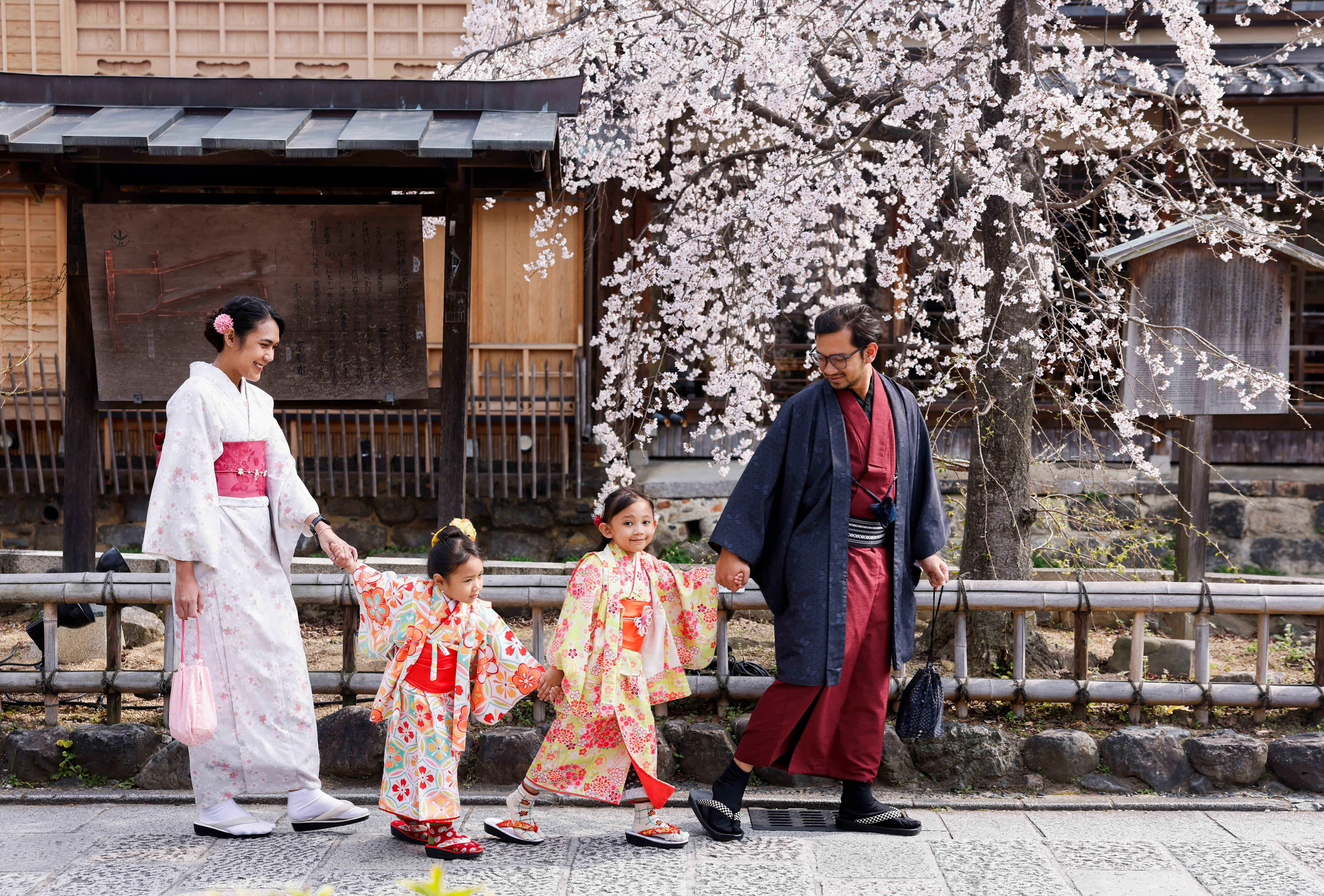 Cvetenje češenj na Japonskem