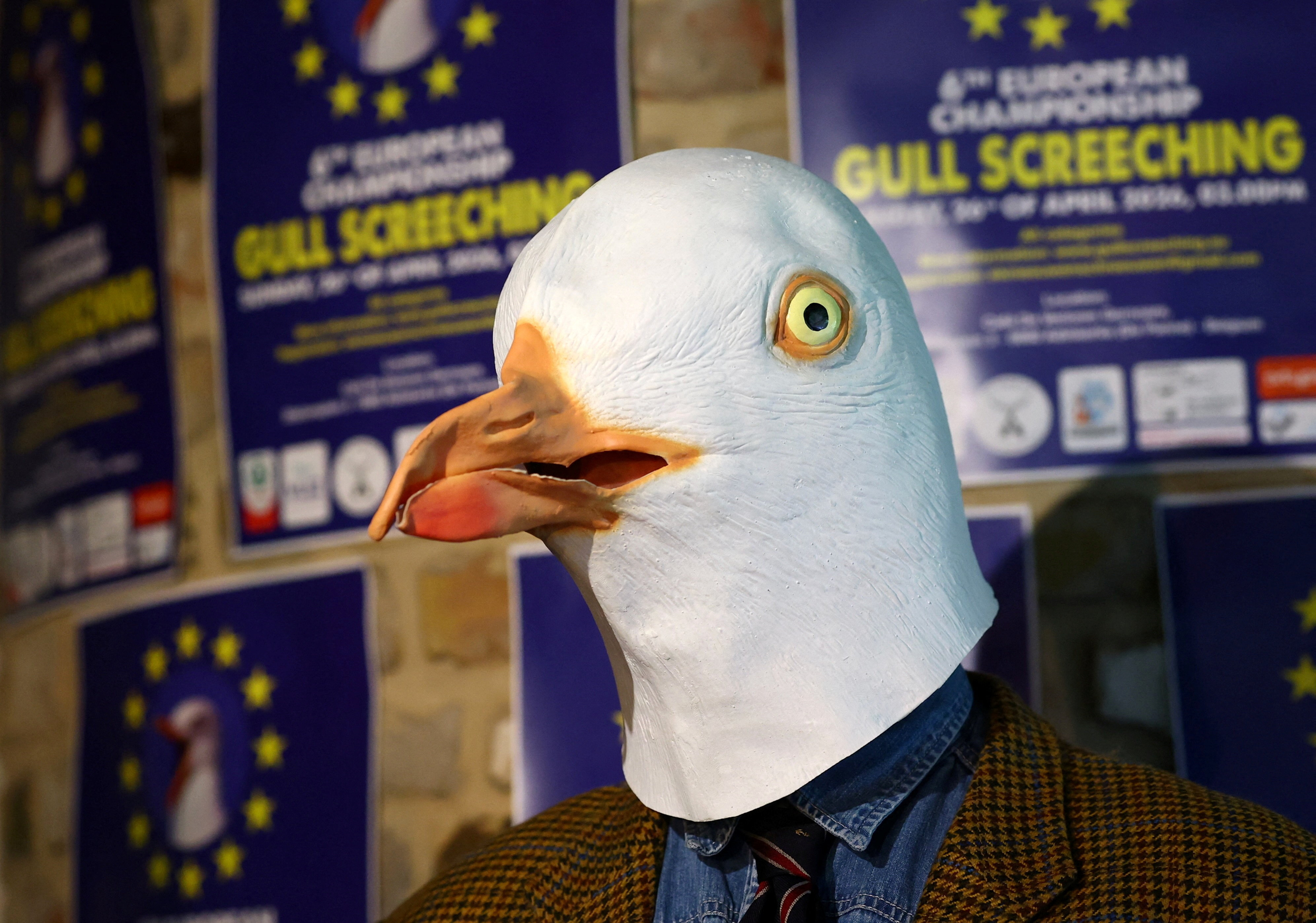 Tekmovanje v oponašanju galebov