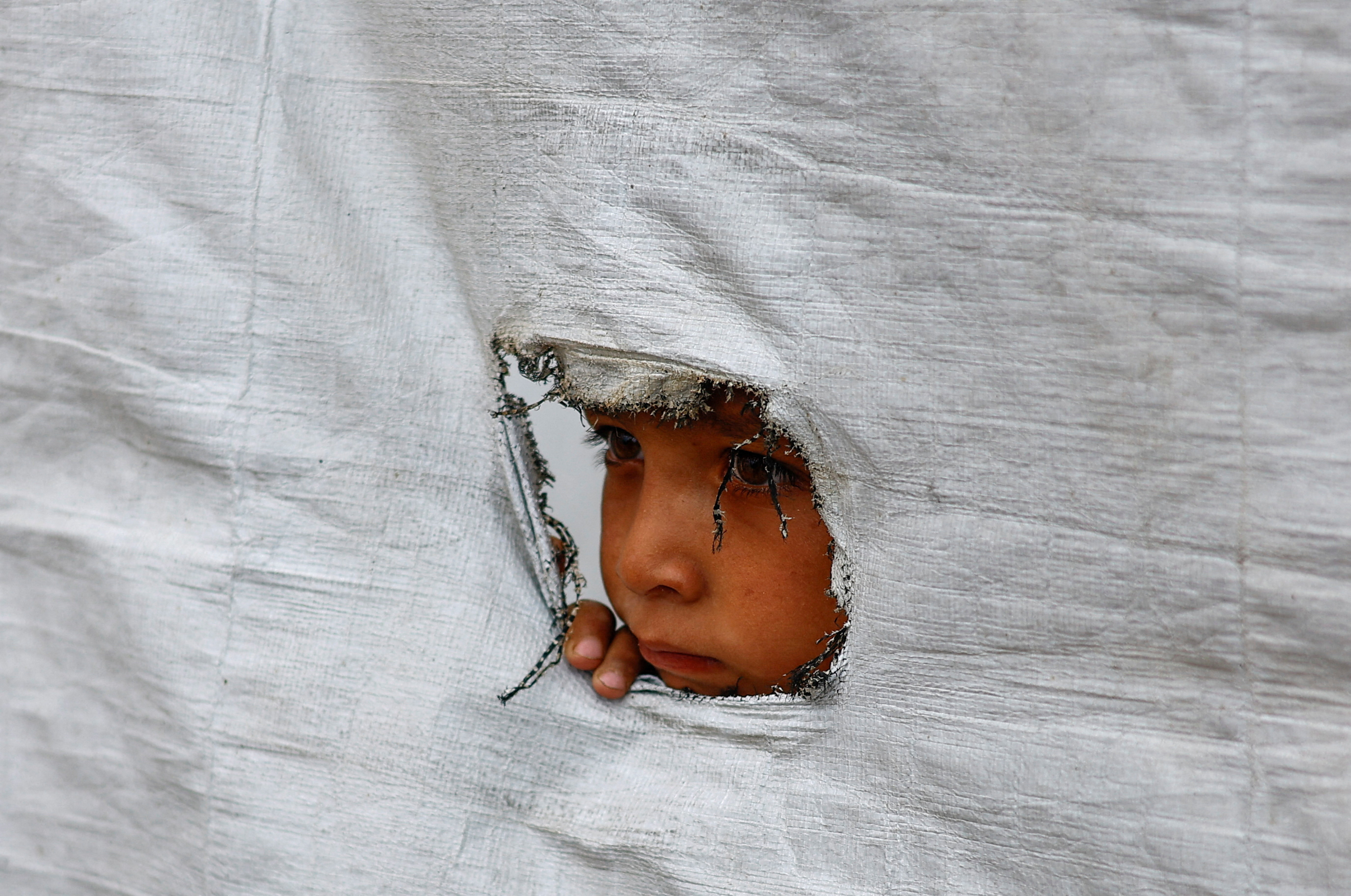 Palestina