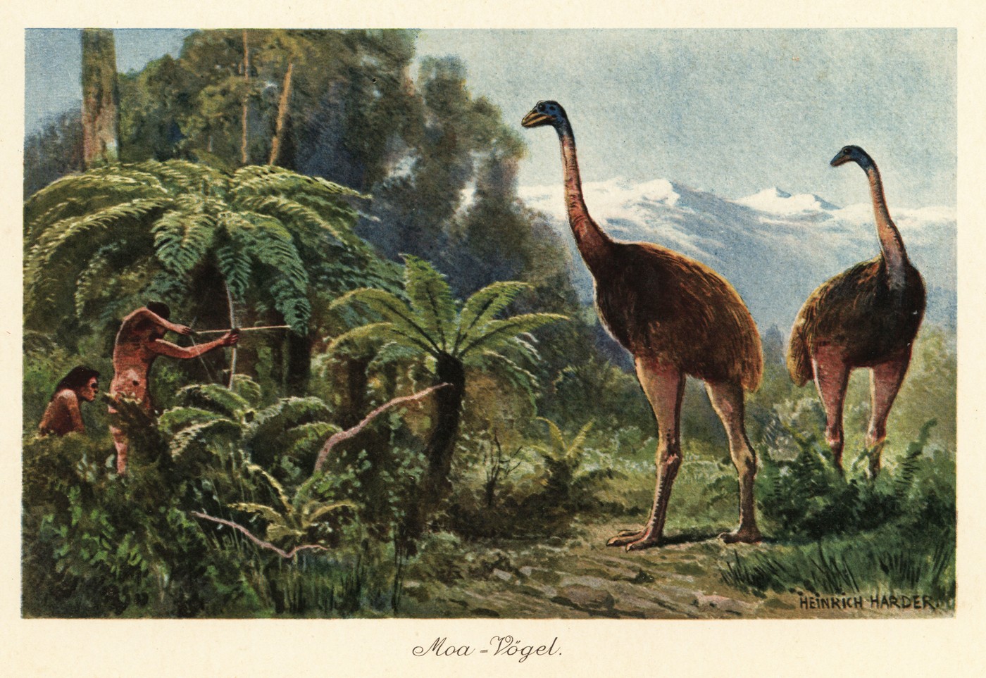 Lov na orjaške moe (Dinornis robustus), izumrle ptice z Nove Zelandije