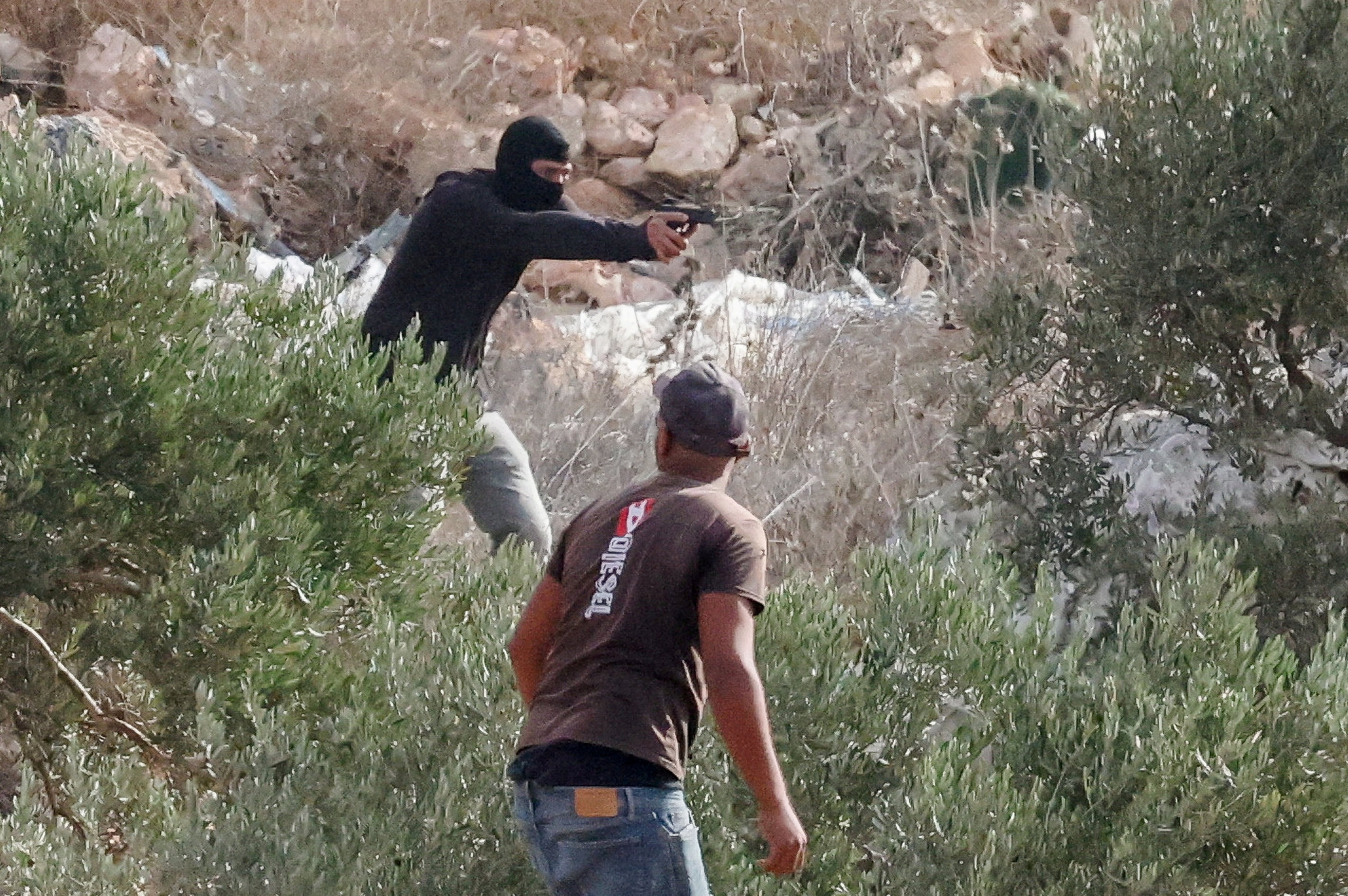 Izraelski naseljenec s pištolo meri v Palestince med pobiranjem oljk na Zahodnem bregu