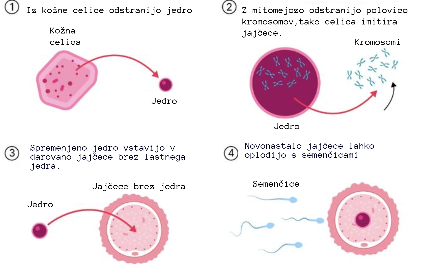 mitomejoza Foto Zajem zaslona Mail Online N1