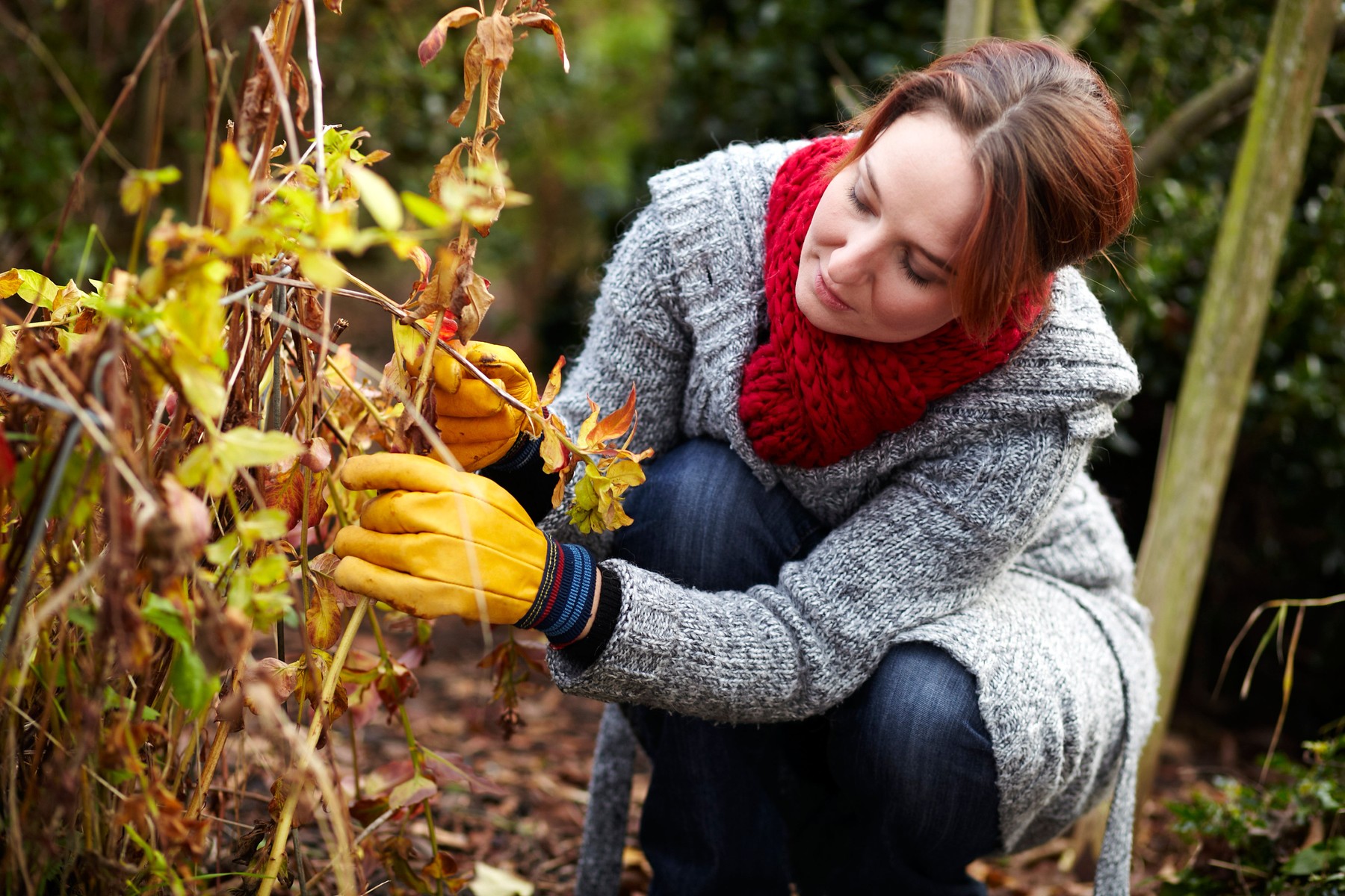 jesen urejanje vrta Foto PROFIMEDIA