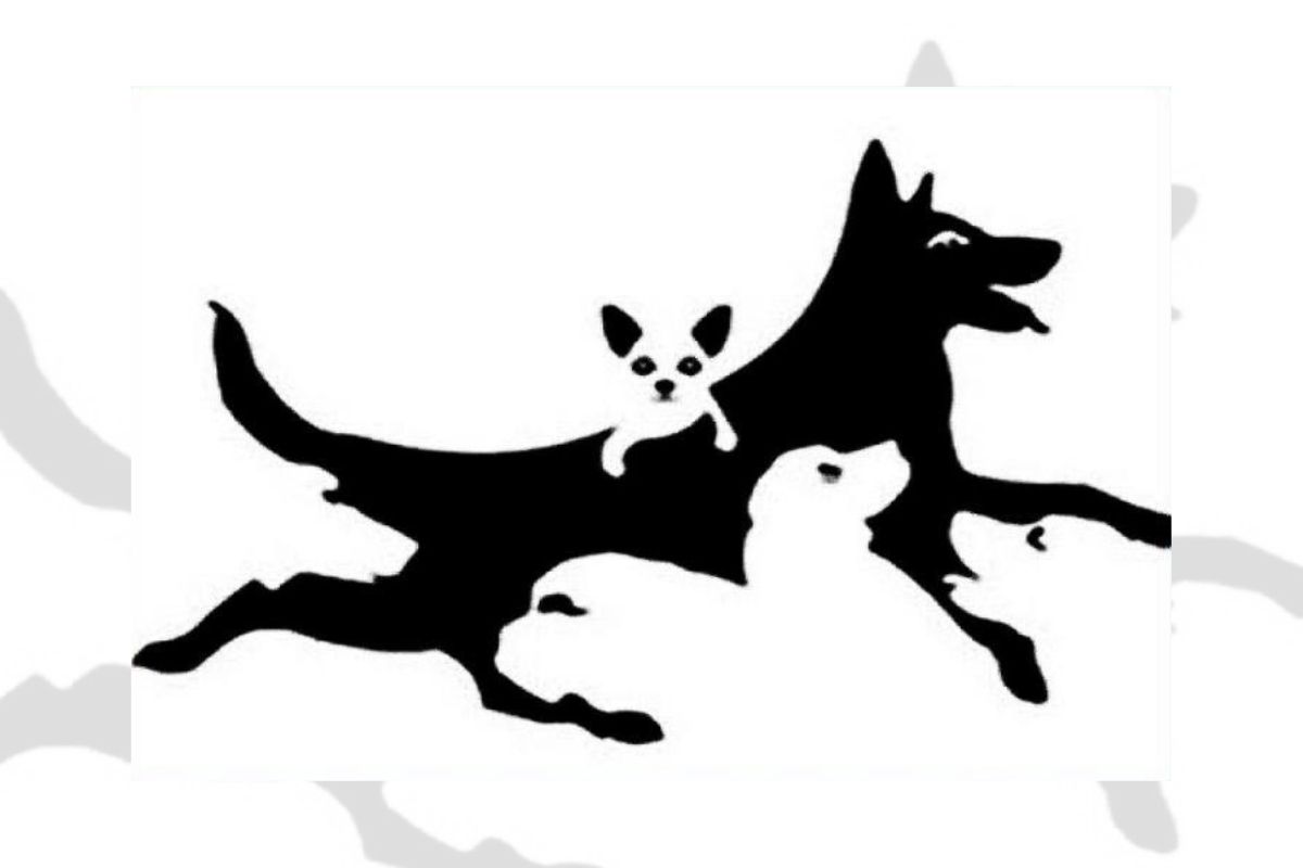 psihološki test s psmi