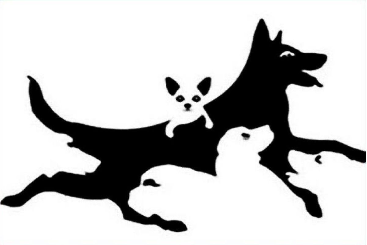 psihološki test s psmi