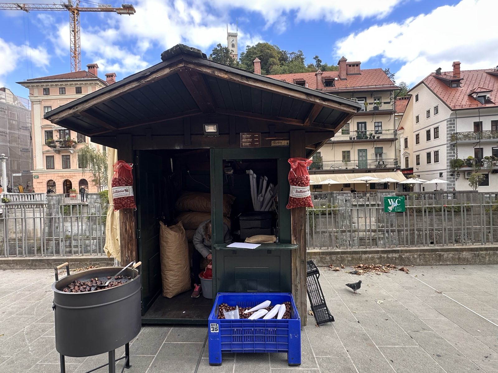 Utica za kostanj na Bregu