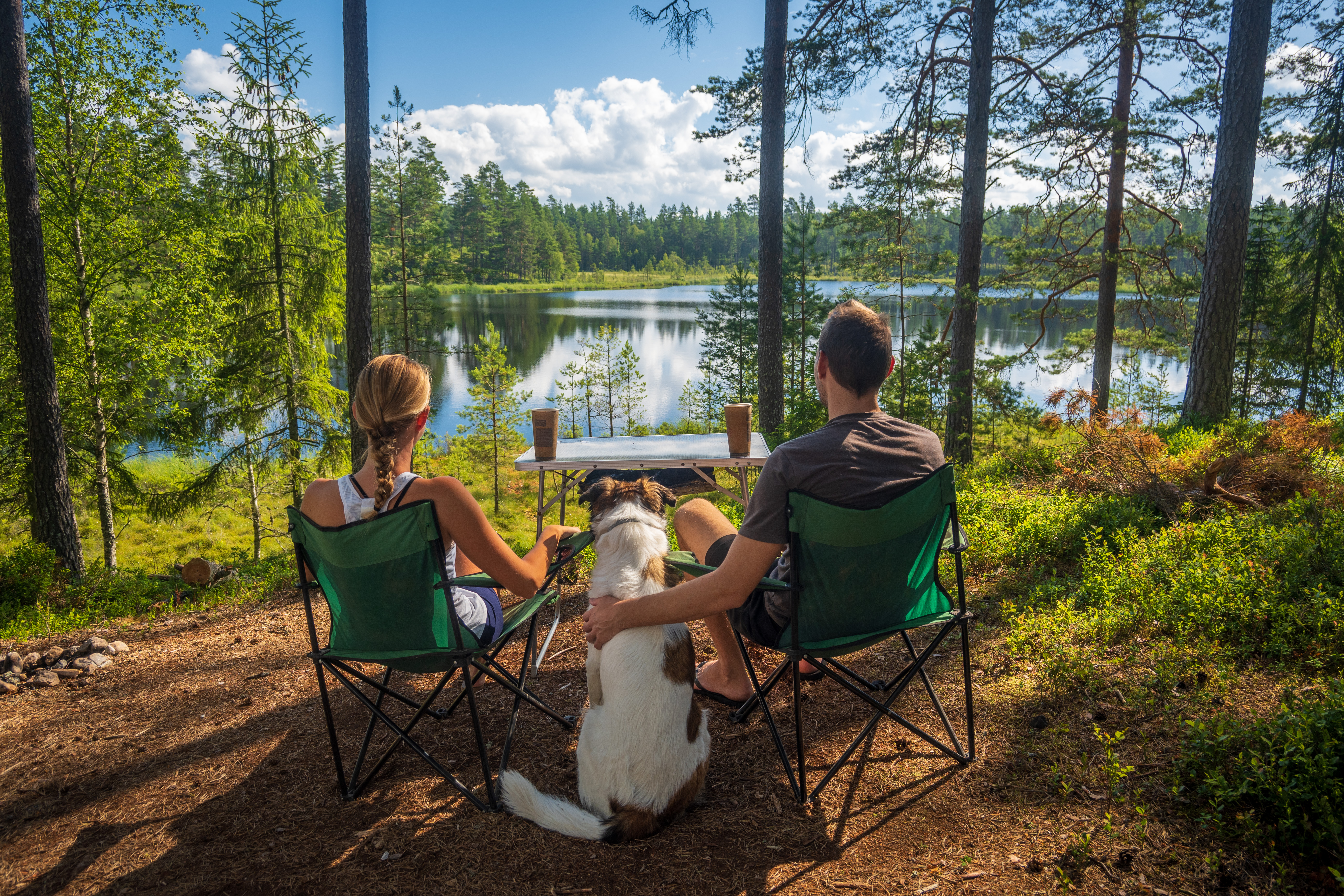 Švedska potujoči brlog.jpg