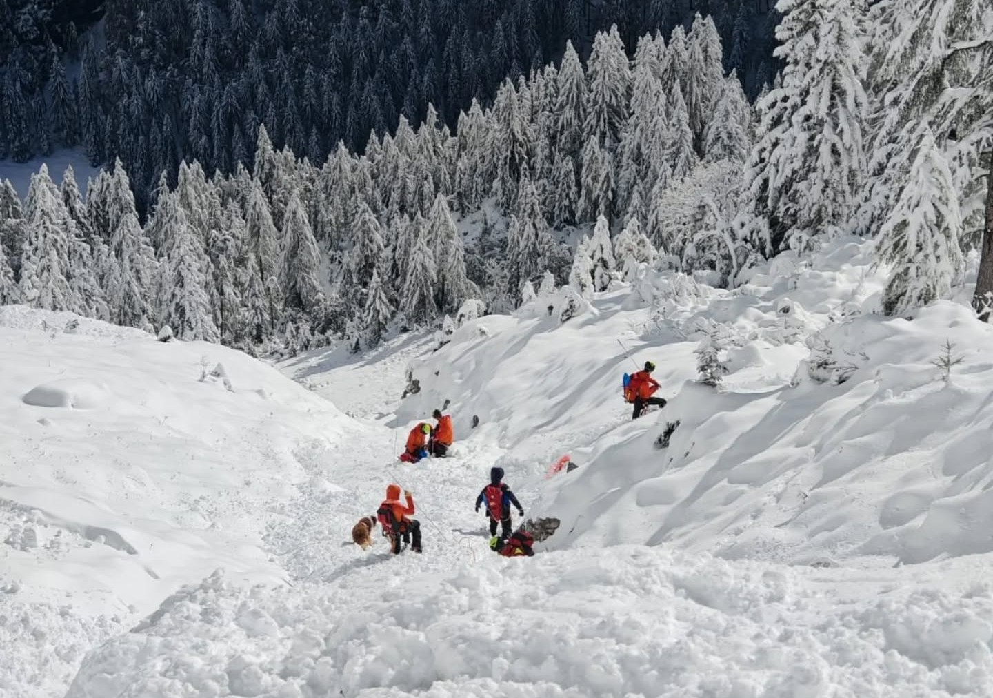 Reševanje pod Toscem