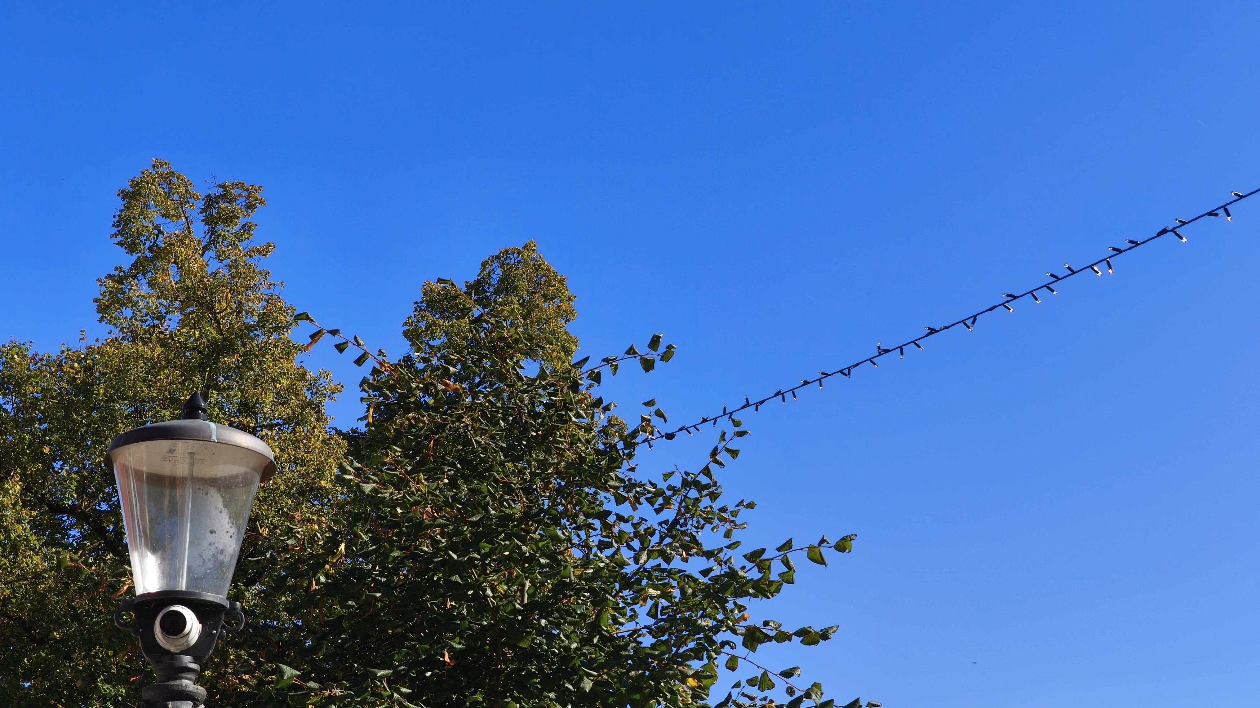 Okraševanje praznične Ljubljane