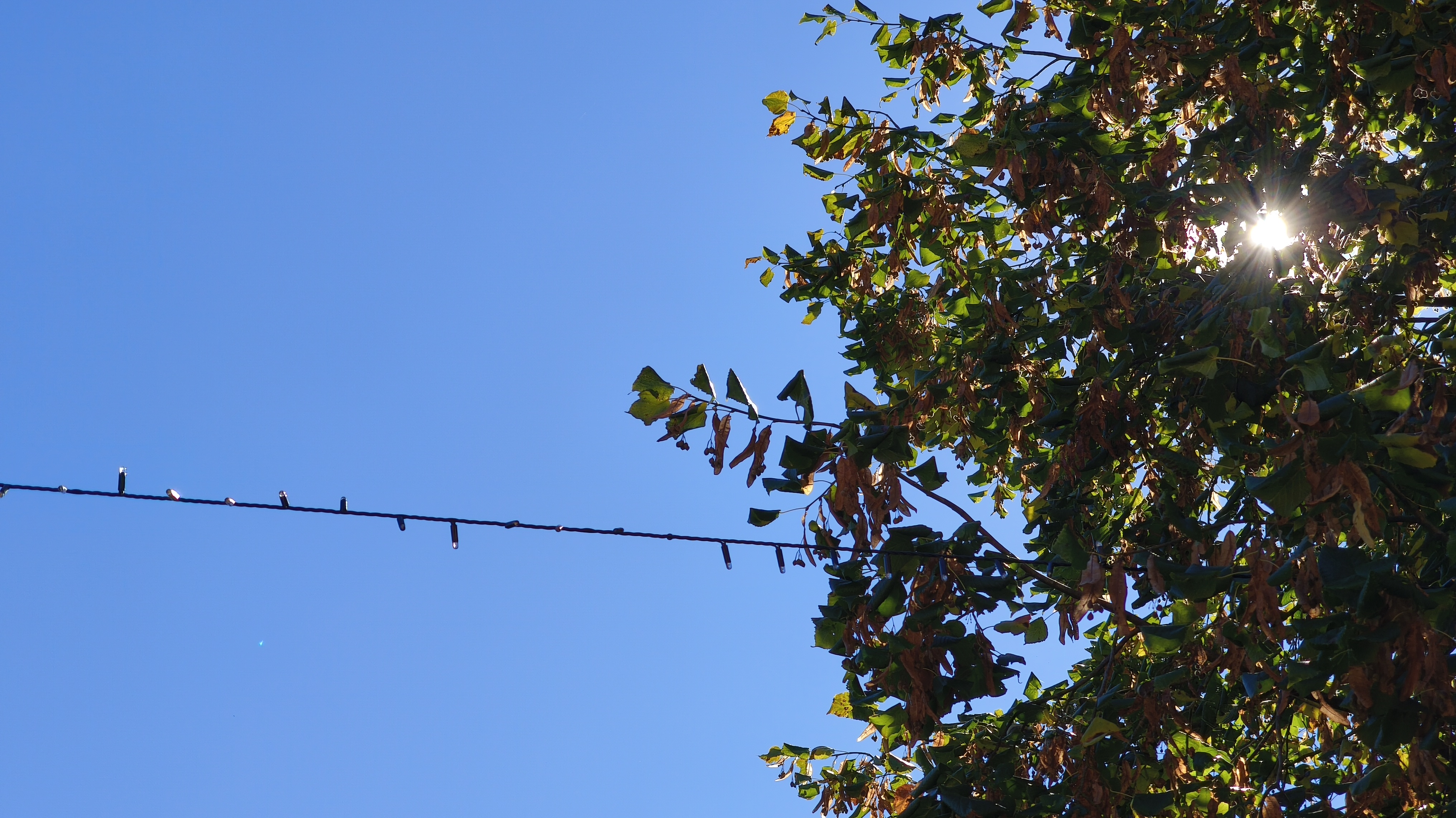 Okraševanje praznične Ljubljane