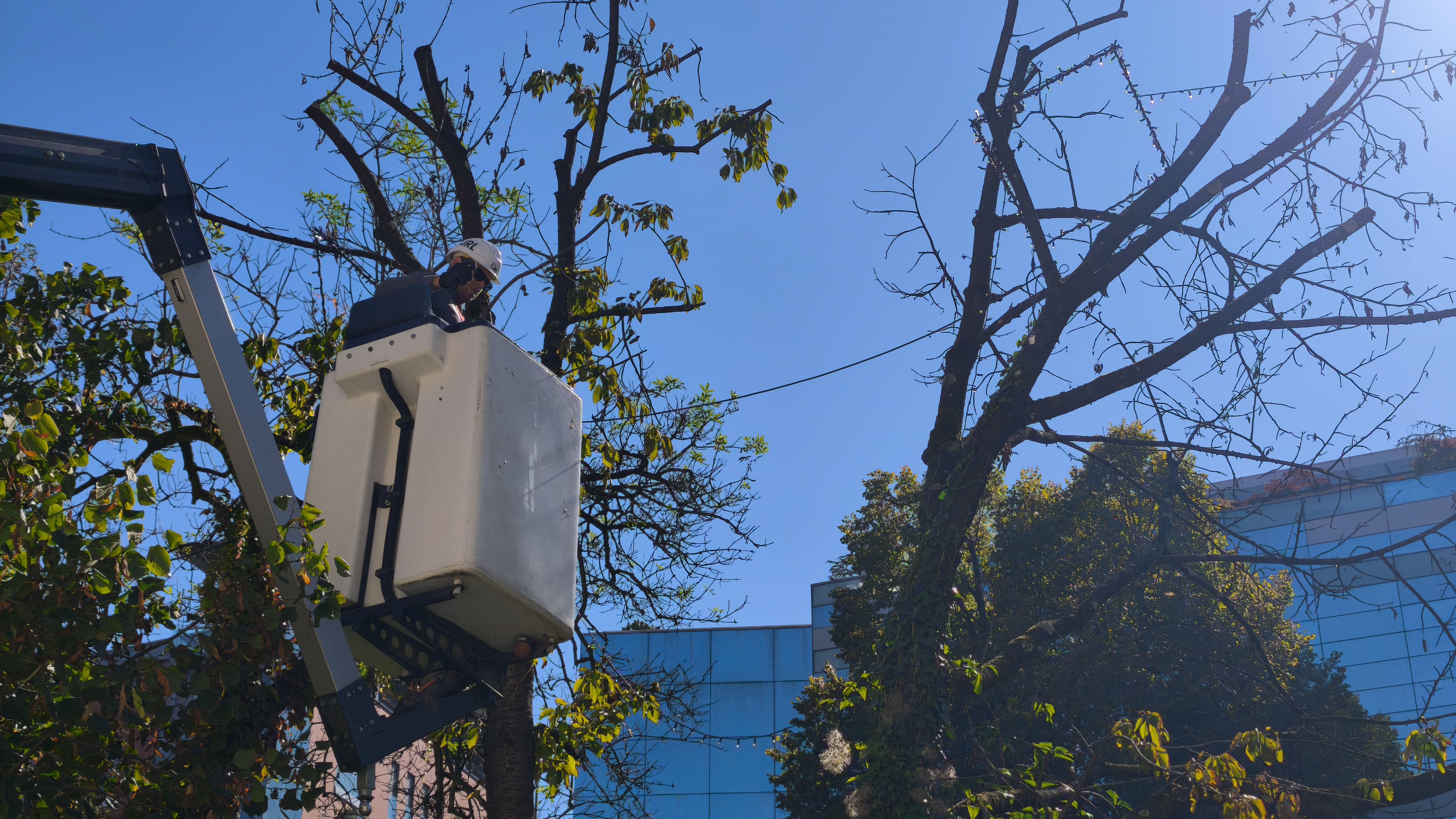 Okraševanje praznične Ljubljane