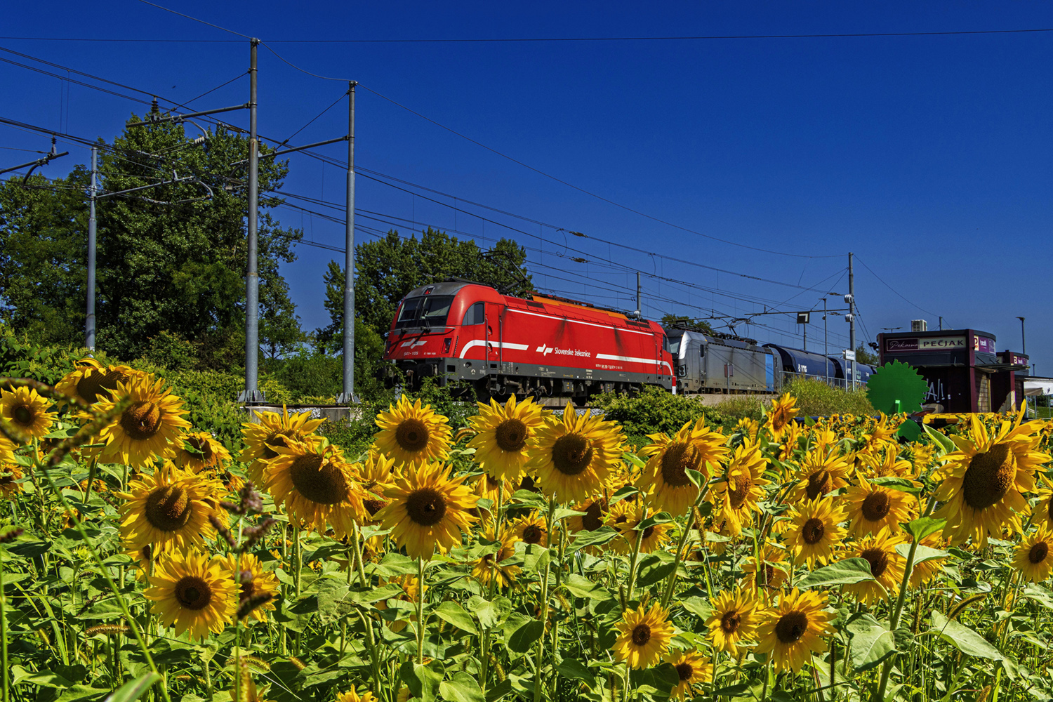 ZEN25-3420_Ljubljana2_mk_X(1)