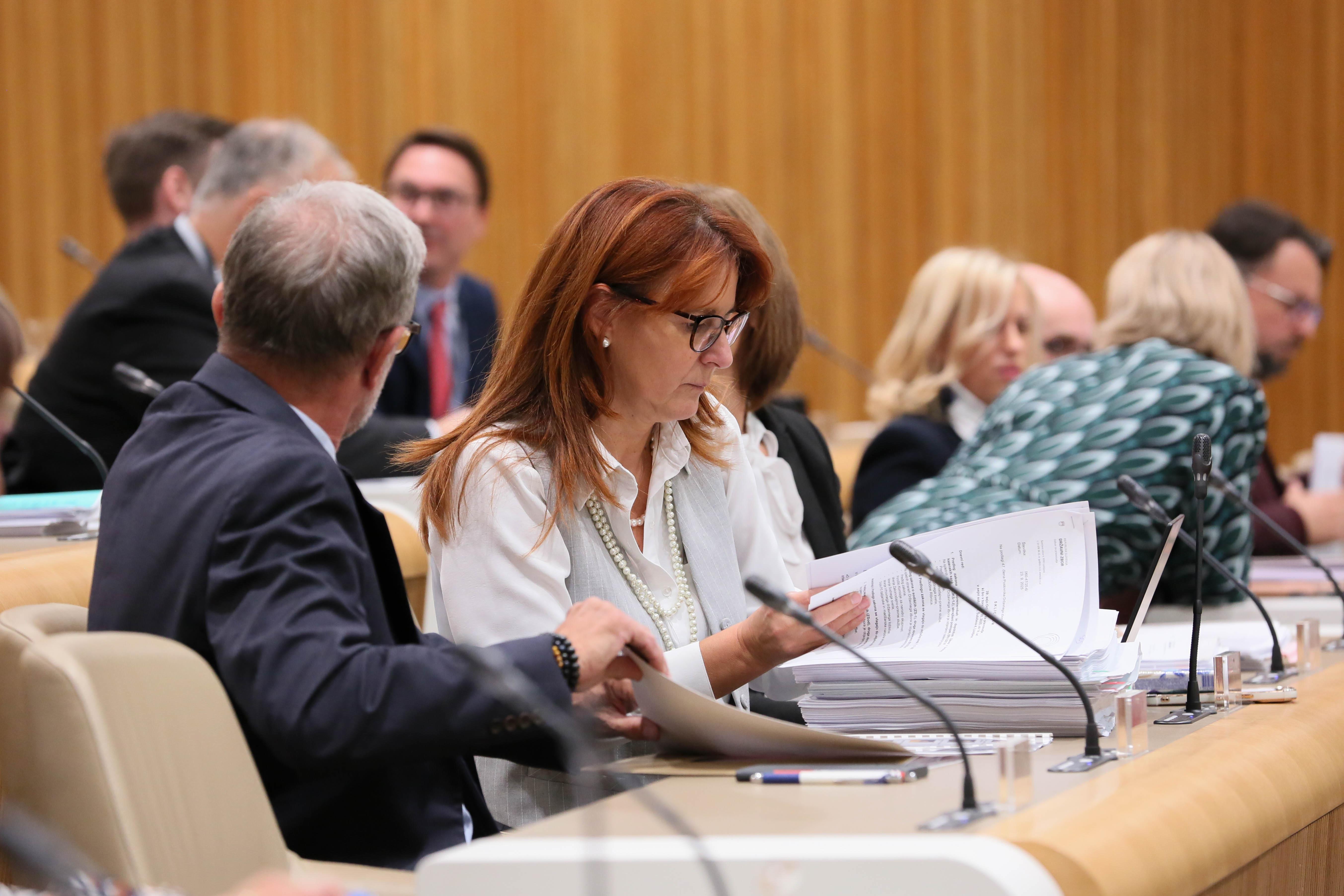 Odbor DZ za pravosodje